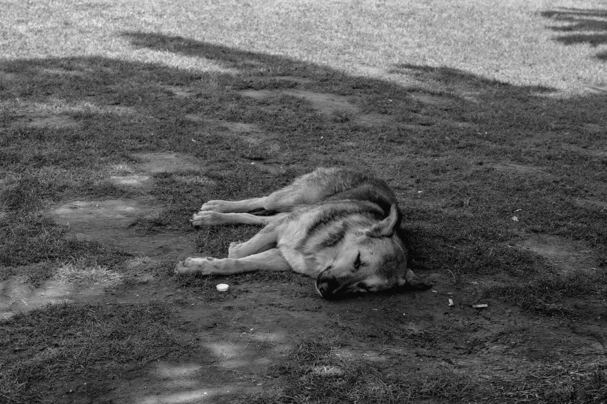 ISTANBUL IN B&W COLORES. JULY 2022. Фотограф Анастасия Броварник в Санкт-Петербурге