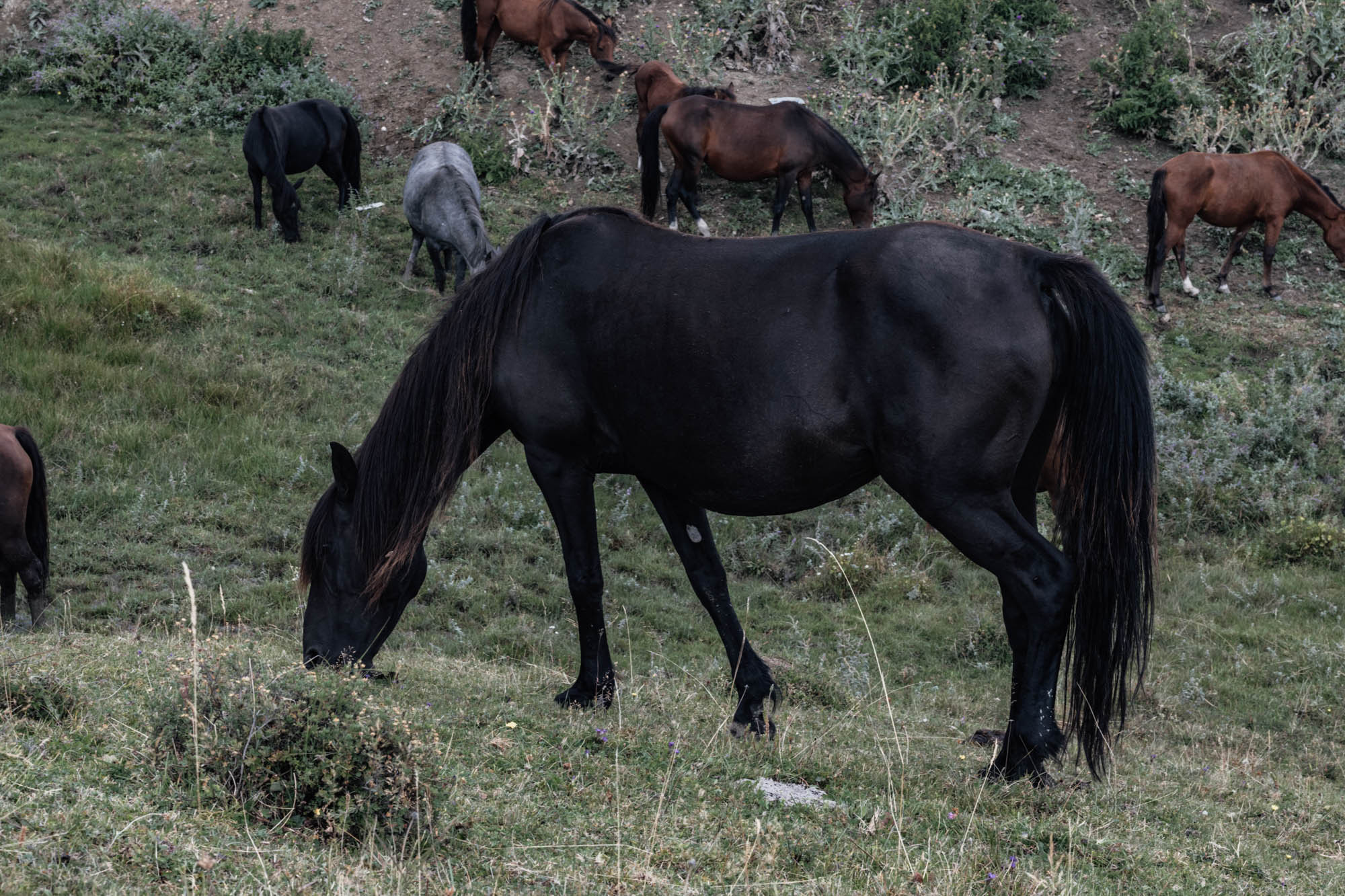 ДАГЕСТАН. Фотограф Анастасия Броварник в Санкт-Петербурге