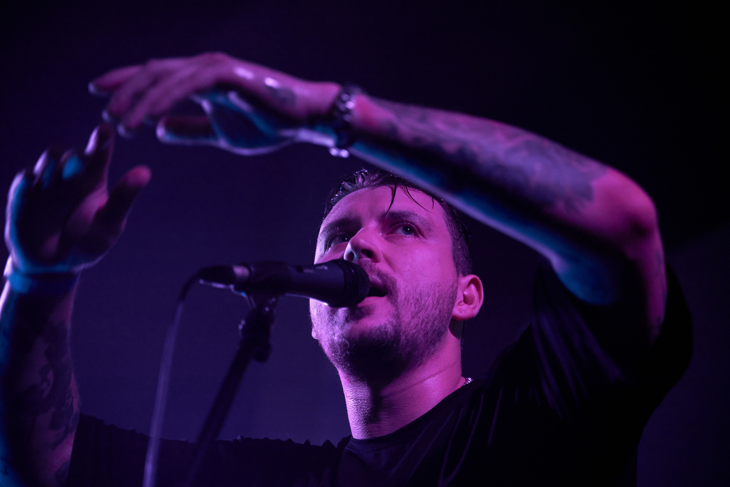 Концерт The Translators. Лена Монахова — портретный и концертный фотограф в Санкт-Петербурге