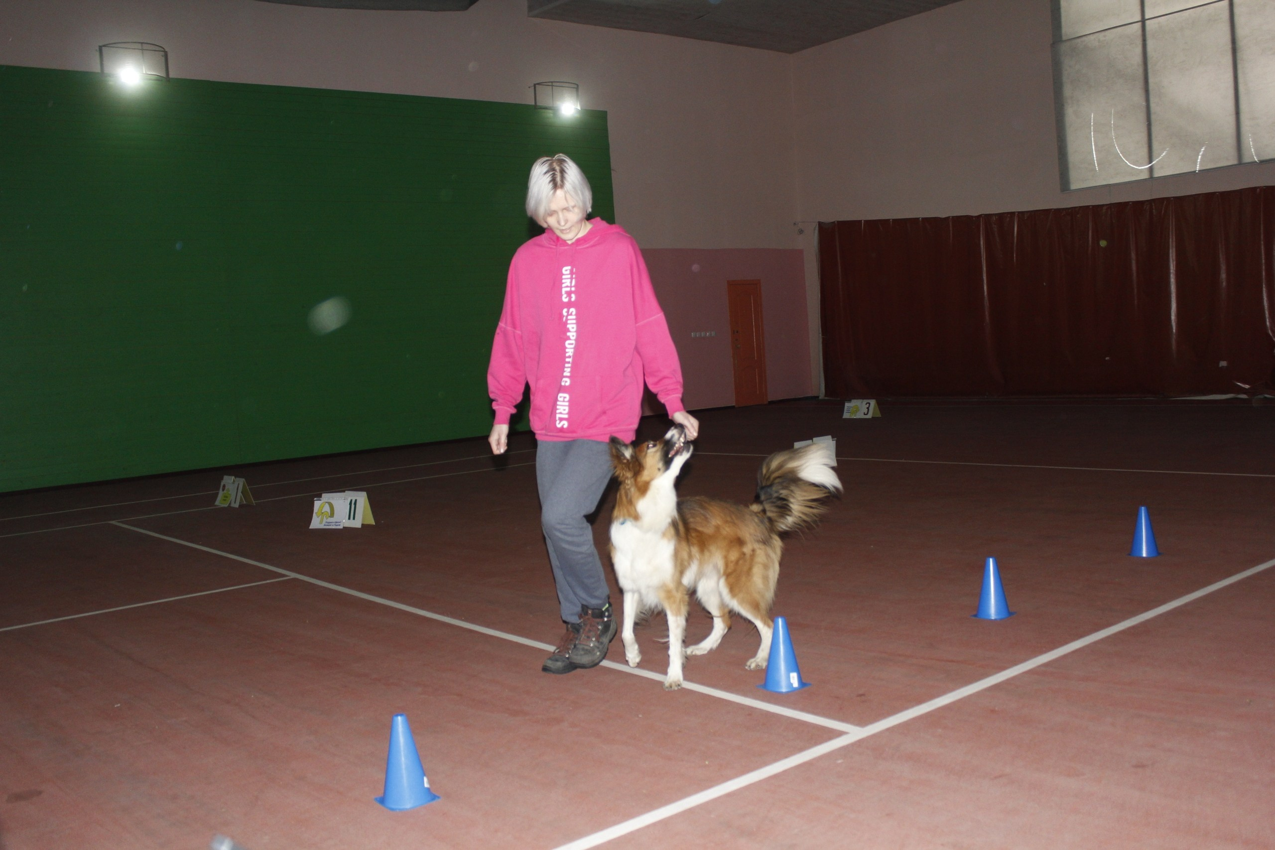 О нас. BLGKV питомник собак