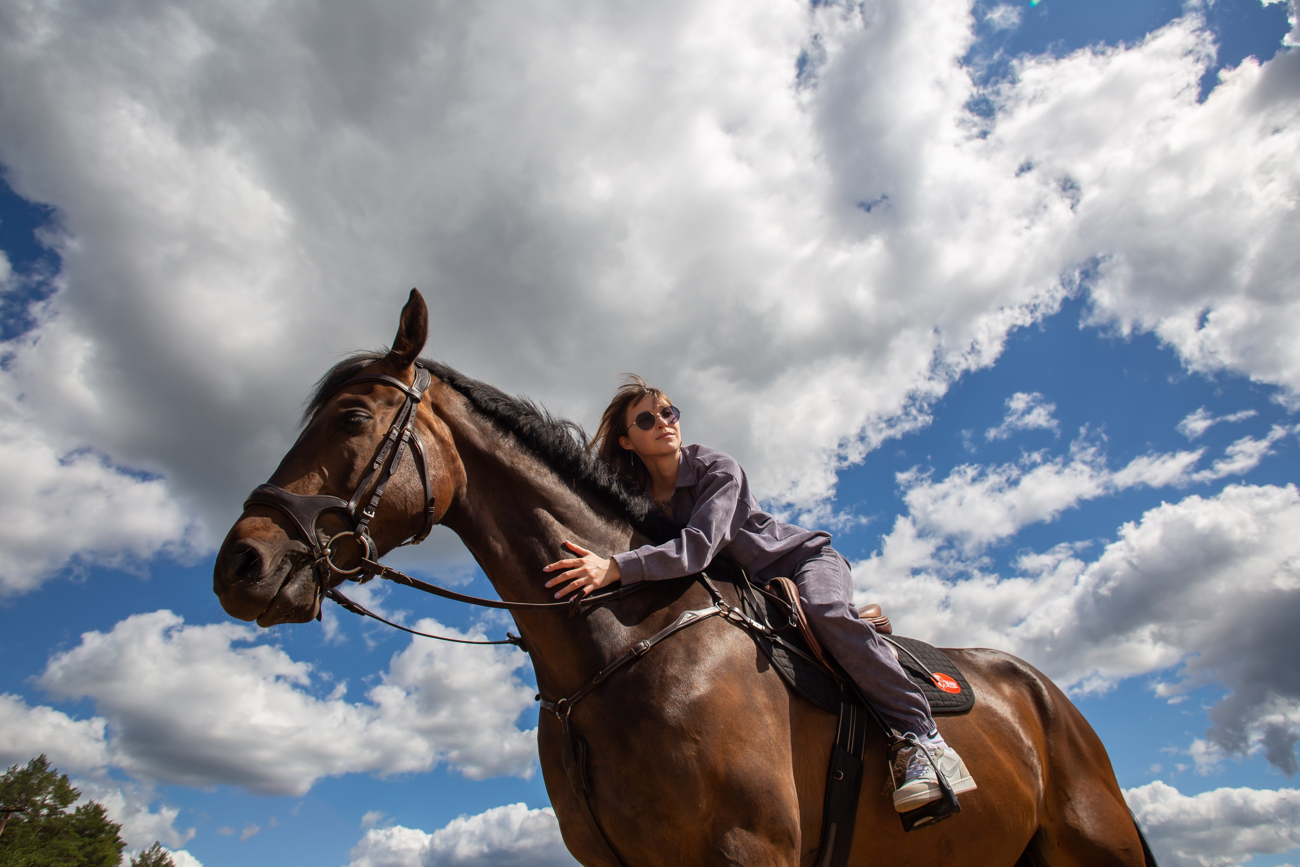 Контакты. Конный фотограф в Санкт-Петербурге Анна Лебедева