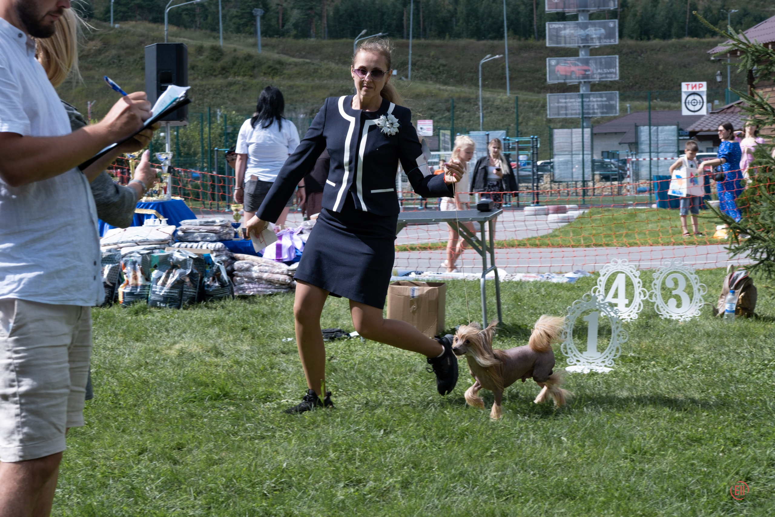 Липецк. Выставка собак. Питомник китайских хохлатых собак Poale Ell: купить щенка