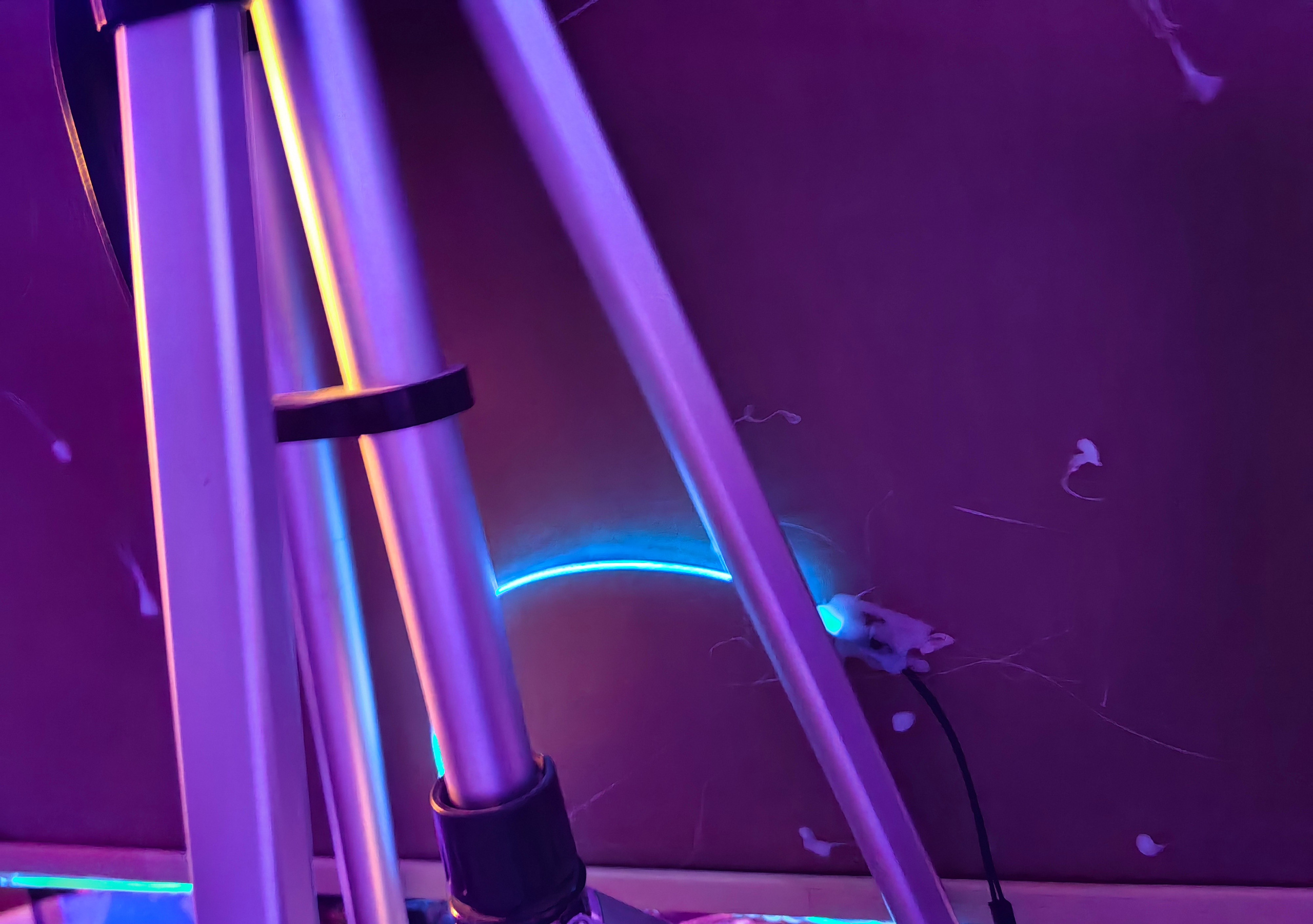 На_повестке пробка 50×70, смешанные технологии. IZTENI ART