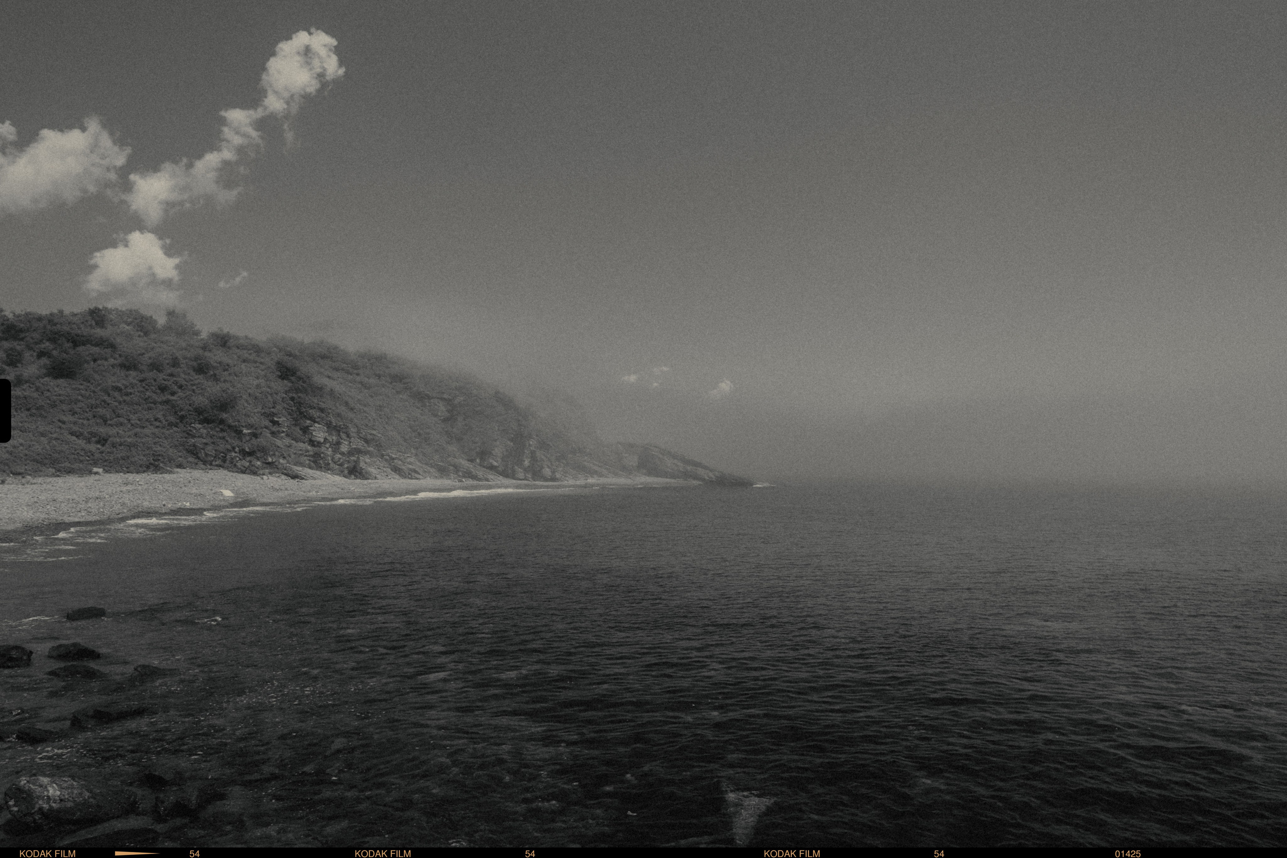 Шамора фото владивосток фотография черно белая природа