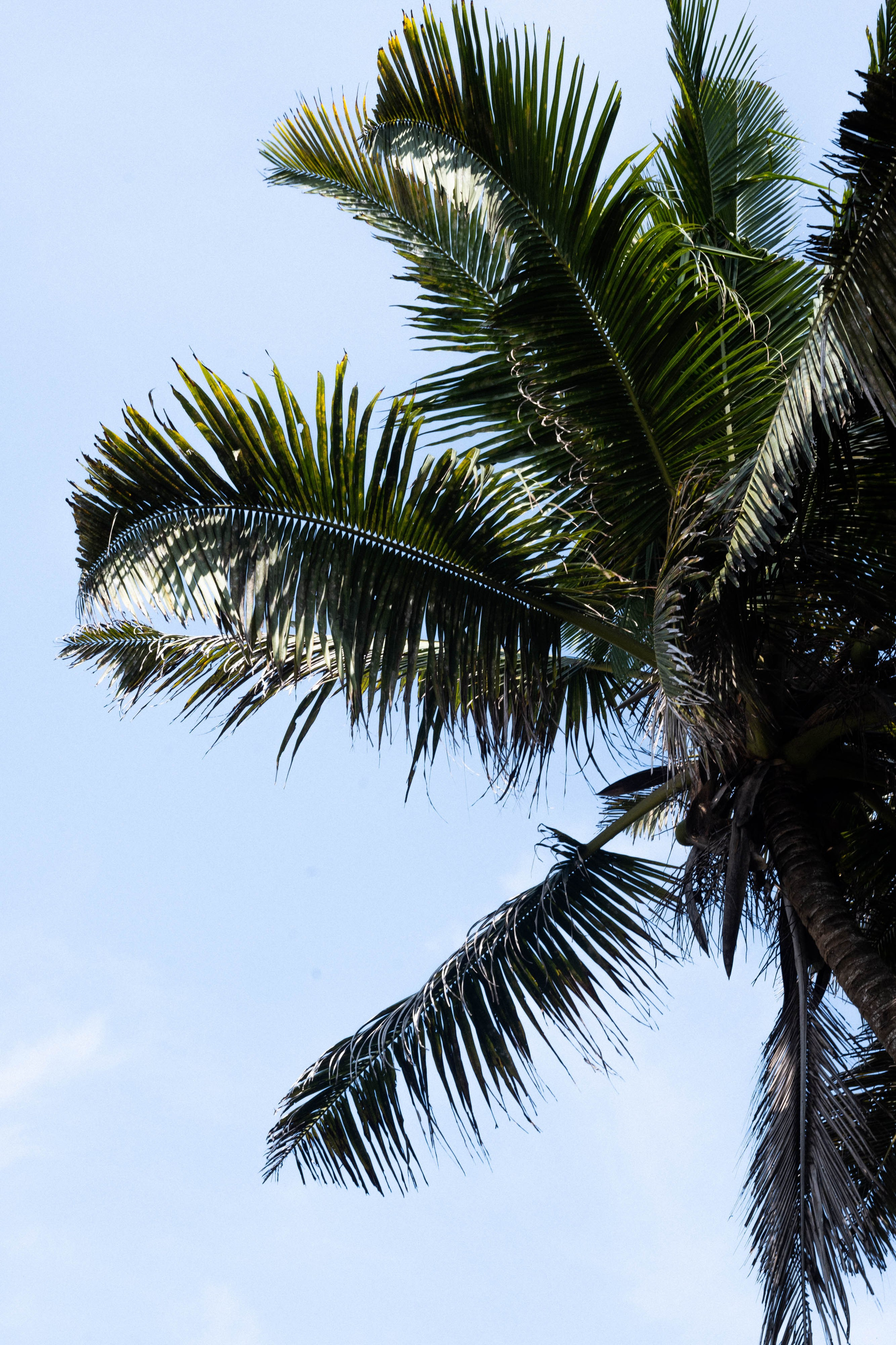 ИНДИЯ. Фотограф Анастасия Броварник в Санкт-Петербурге
