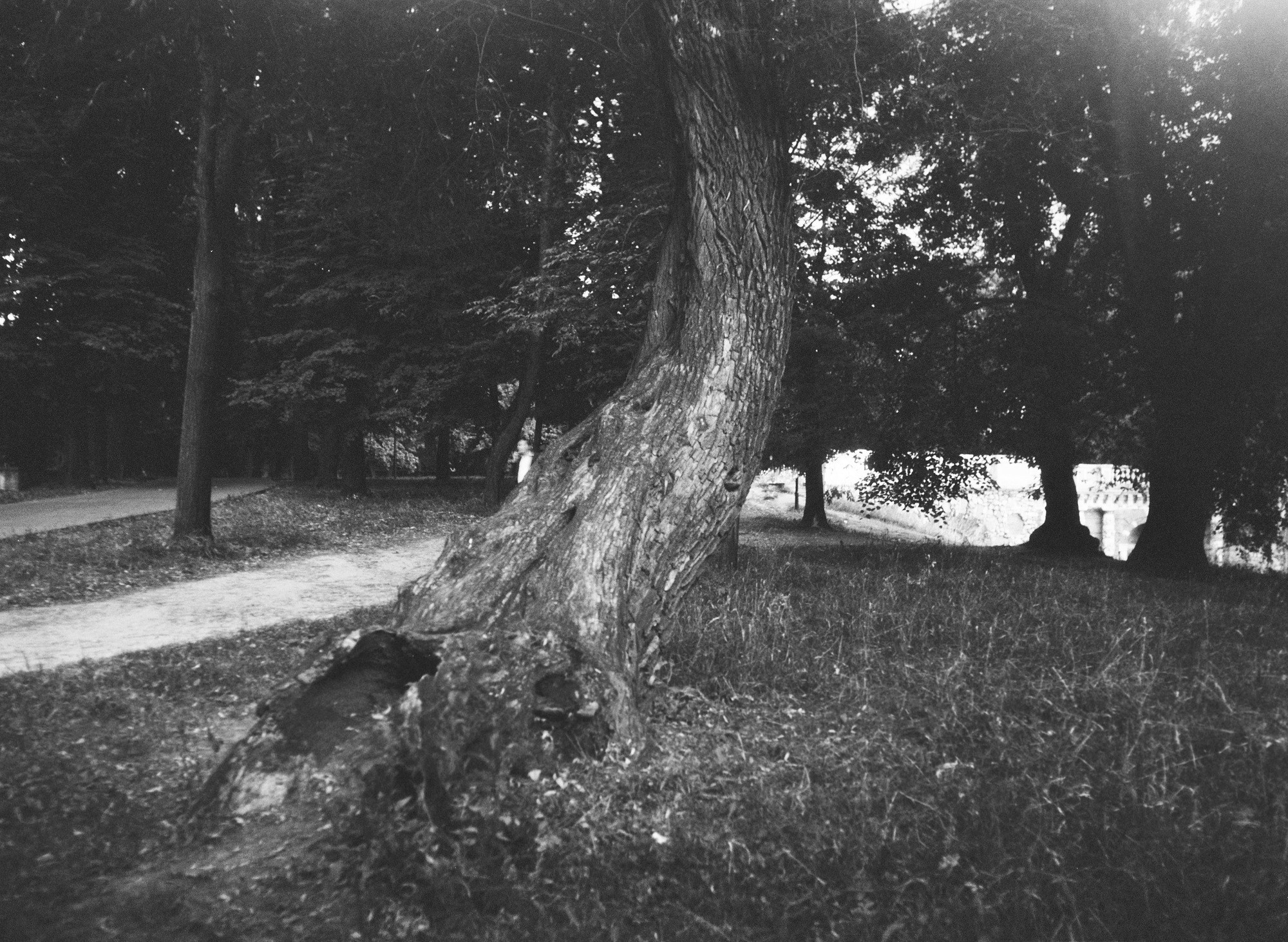 фотосъемка на Pentacon Six