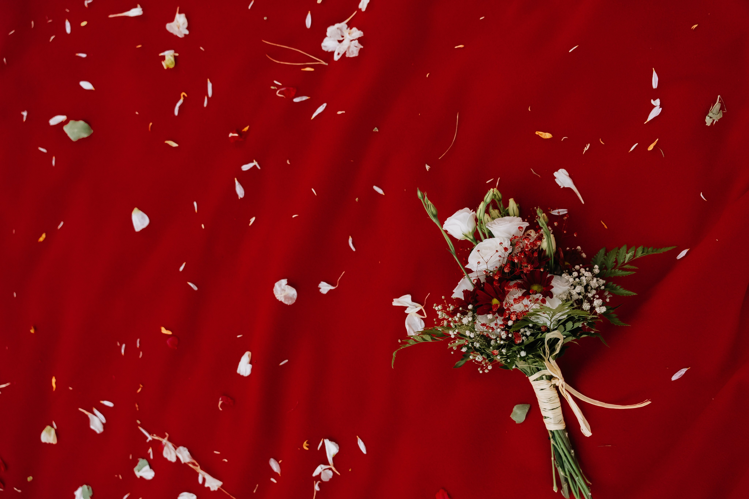 ¡Vivan los novios!. Свадебный Фотограф Минск || Фото и Видеосъёмка Минск || Другие города