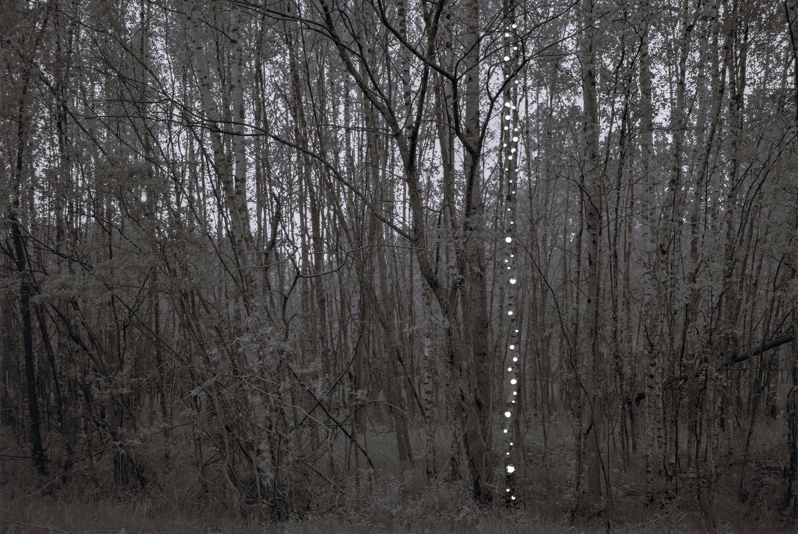 По ту сторону. Главная