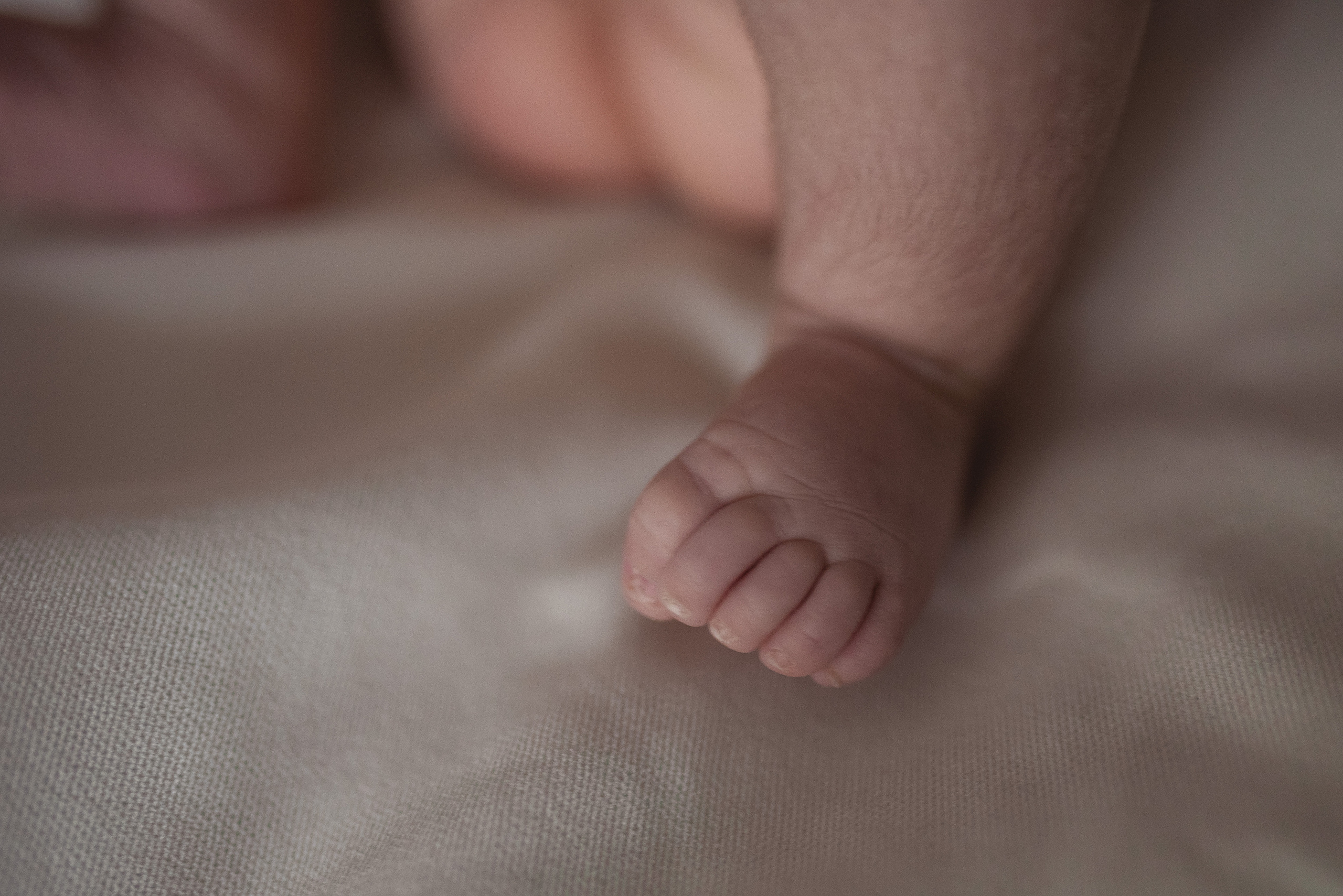 Кусочек рая на Земле. Семейный фотограф в Ростове-на-Дону Мария Панарина