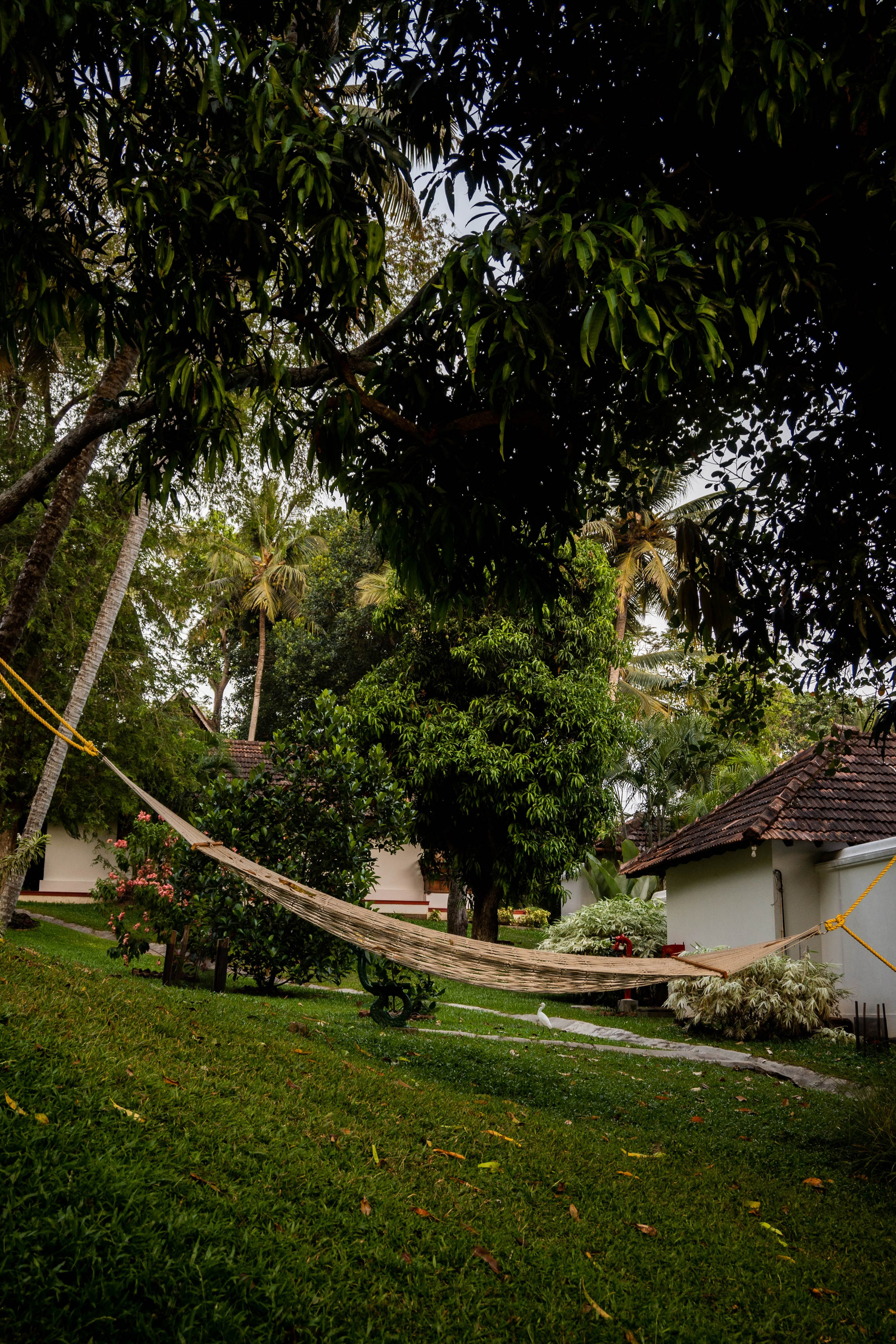 ИНДИЯ. Фотограф Анастасия Броварник в Санкт-Петербурге