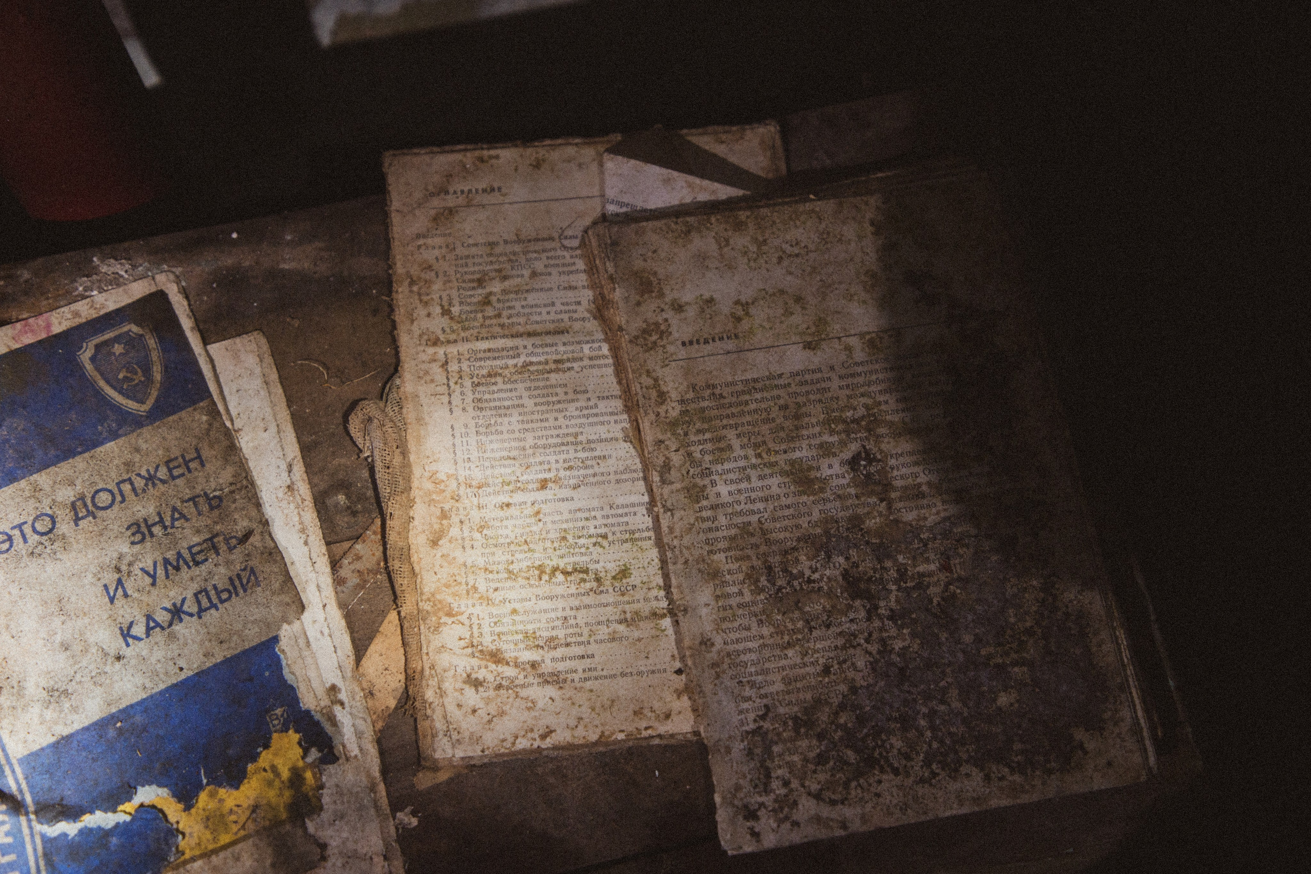 Amnesia: The Vladivostok Bunker. Ирина Чернова — портретный фотограф и маркетолог из Владивостока