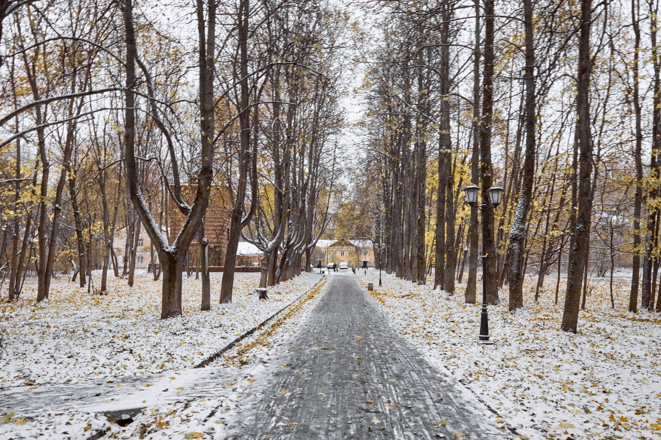 «Иду лесом». Кофе лофт в Братцево. Фотографъ Сергѣевъ. Поймать мгновеніе