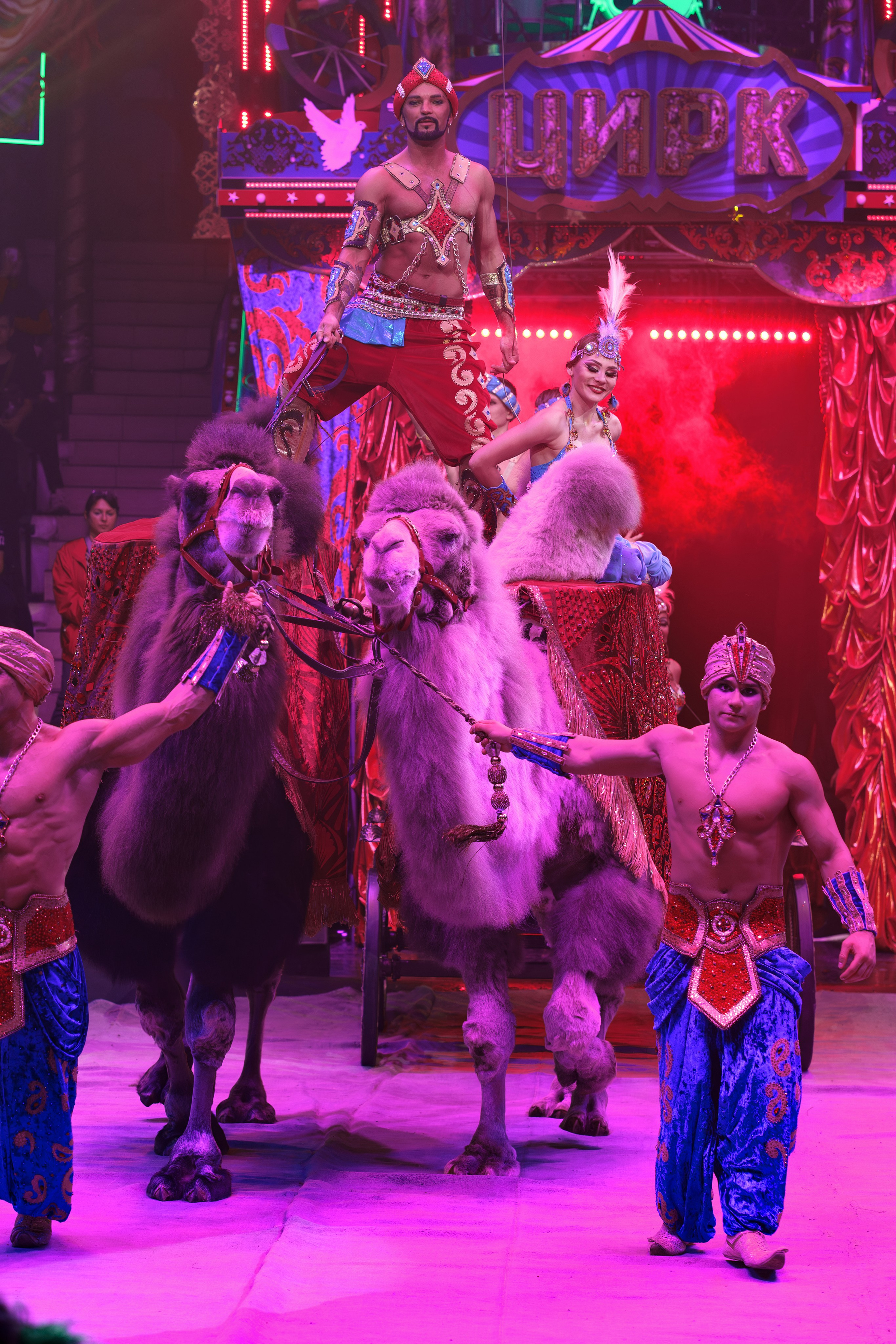 «Королевский цирк Гии Эрадзе»