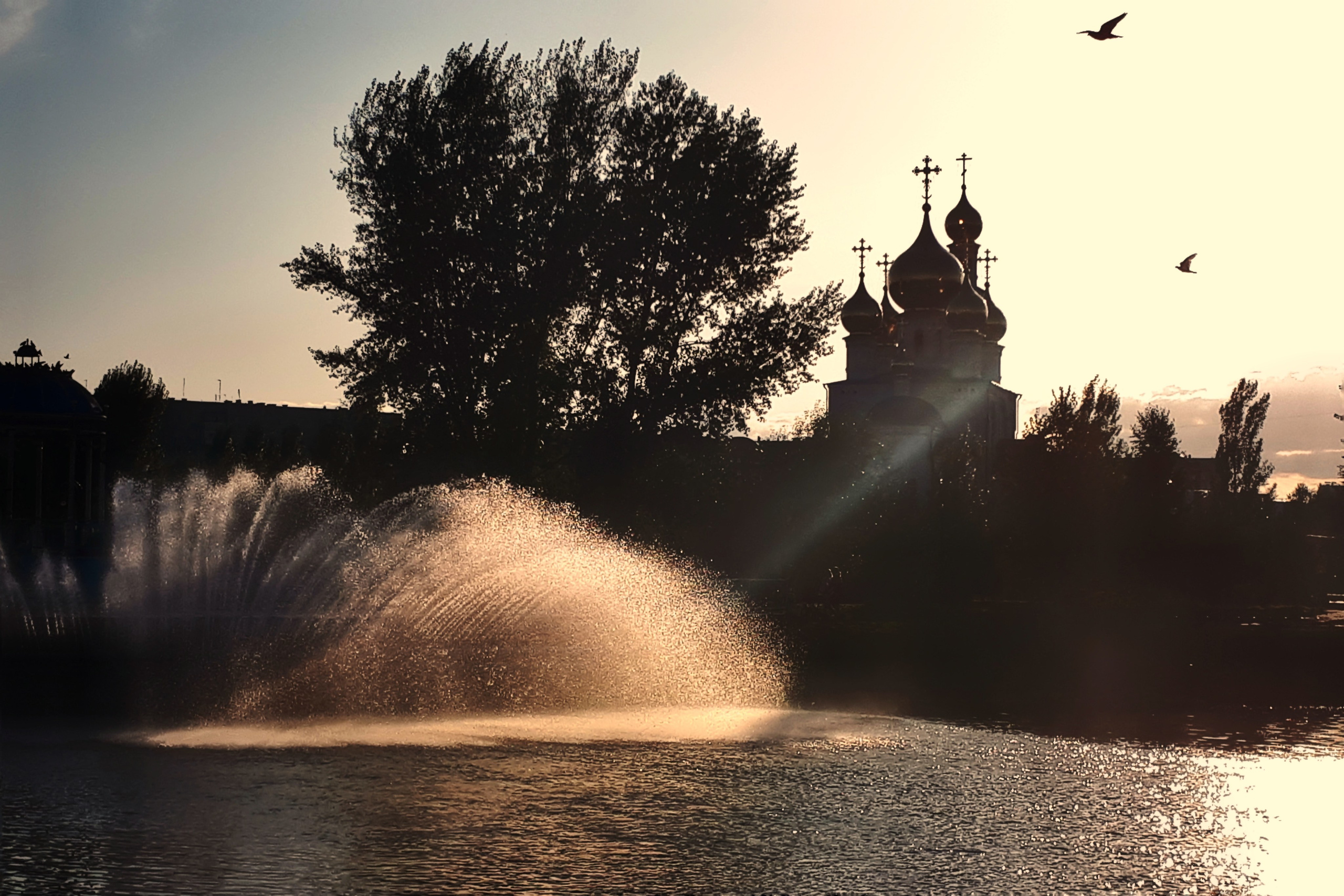 Фотошкола и фотокурсы в Абакане