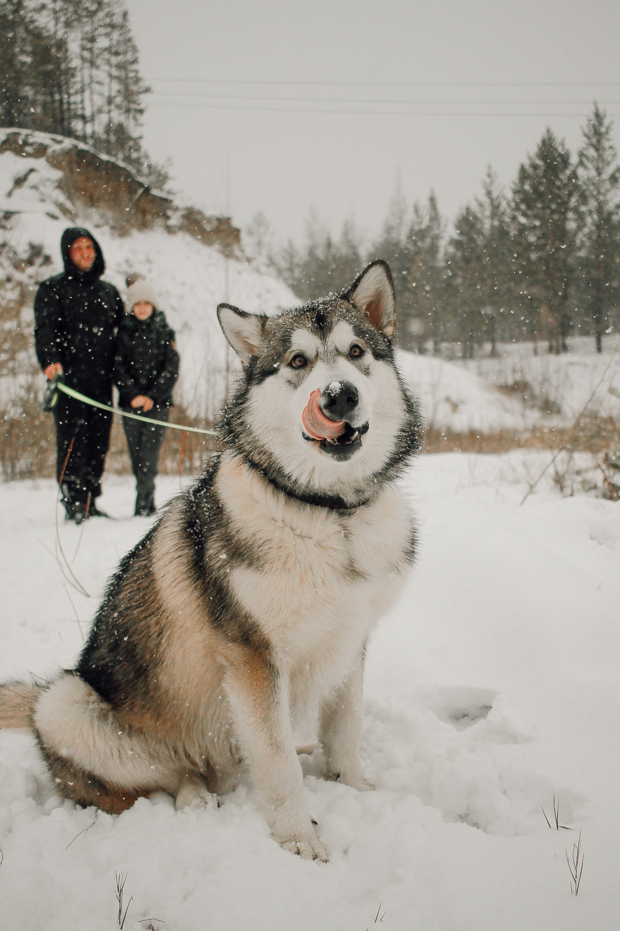 Семейный и детский фотограф в Якутске Людмила Кутовая