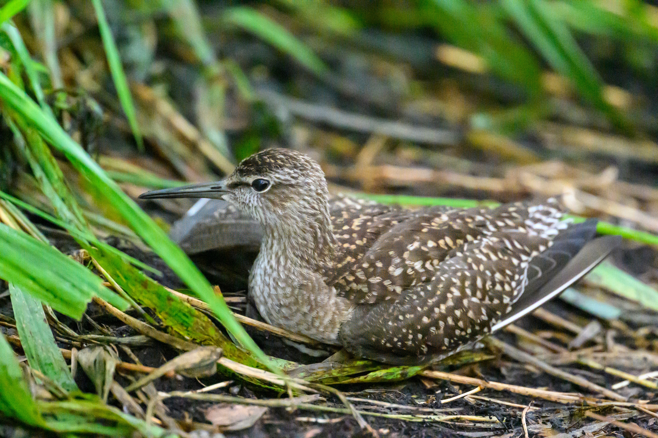 После шторма. After the storm. Фотограф Сергей Пупонин