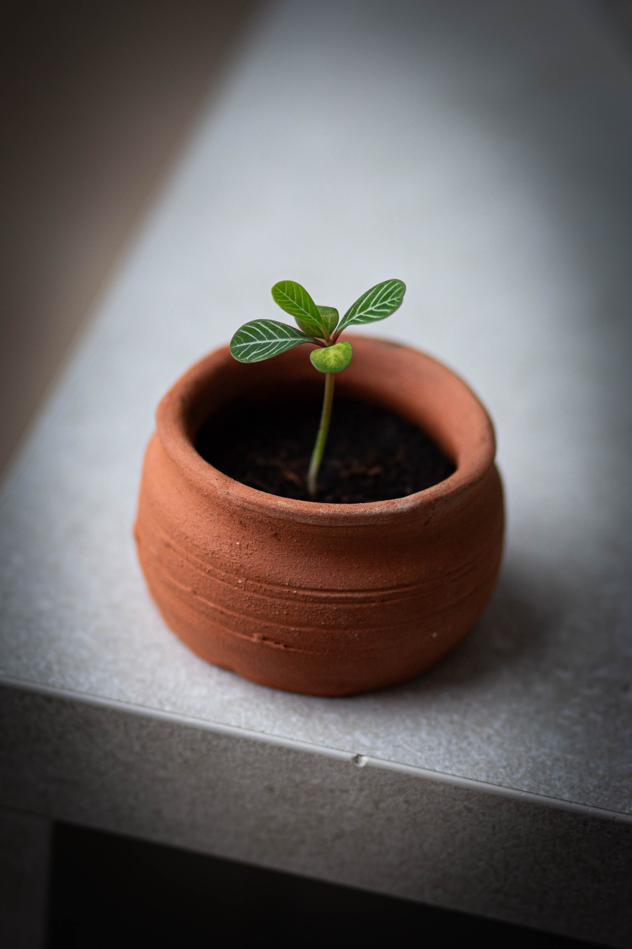 Татьяна- Нутрициолог. Контент съемка для сайта. Портретный фотограф. Вероника Варламова.Москва. Женский, мужской, семейный, художественный, имиджевый портрет