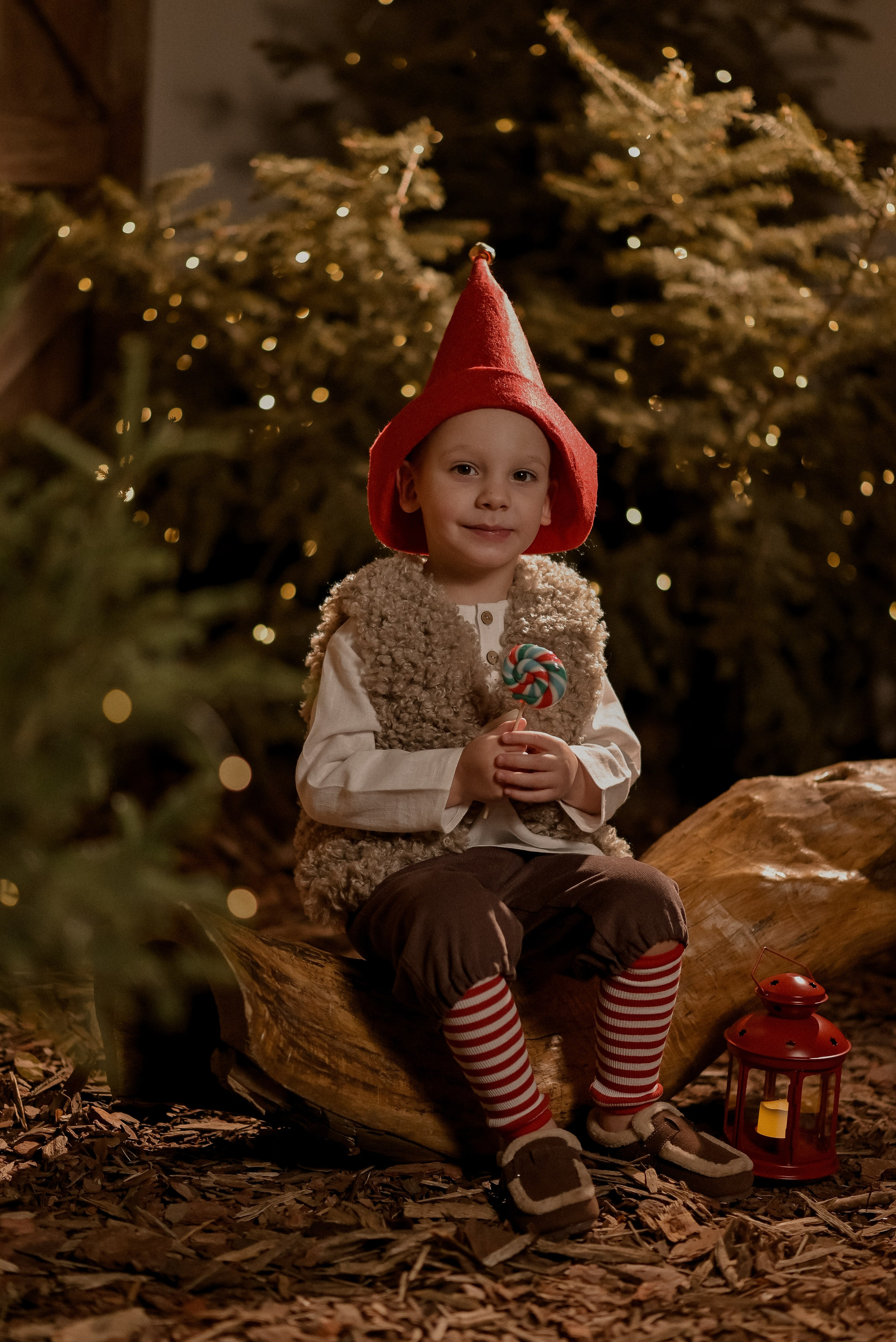 Новый год 2026. Свадебный фотограф Евгения Черепанова