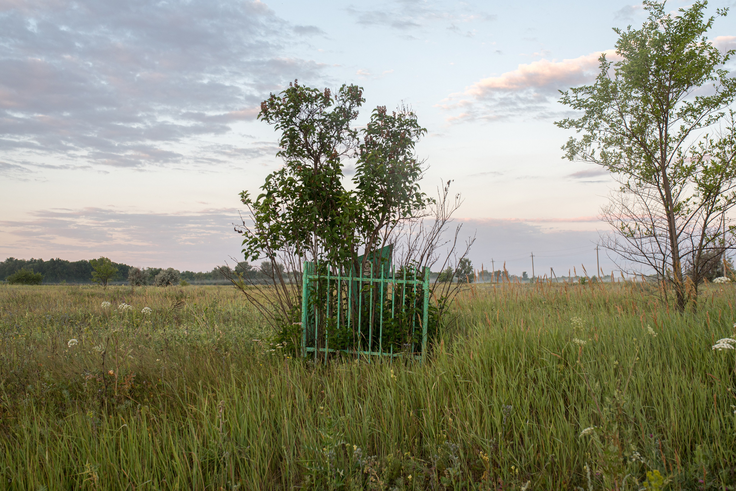 36К-277. Наталия Шульгина — визуальный художник, фотограф