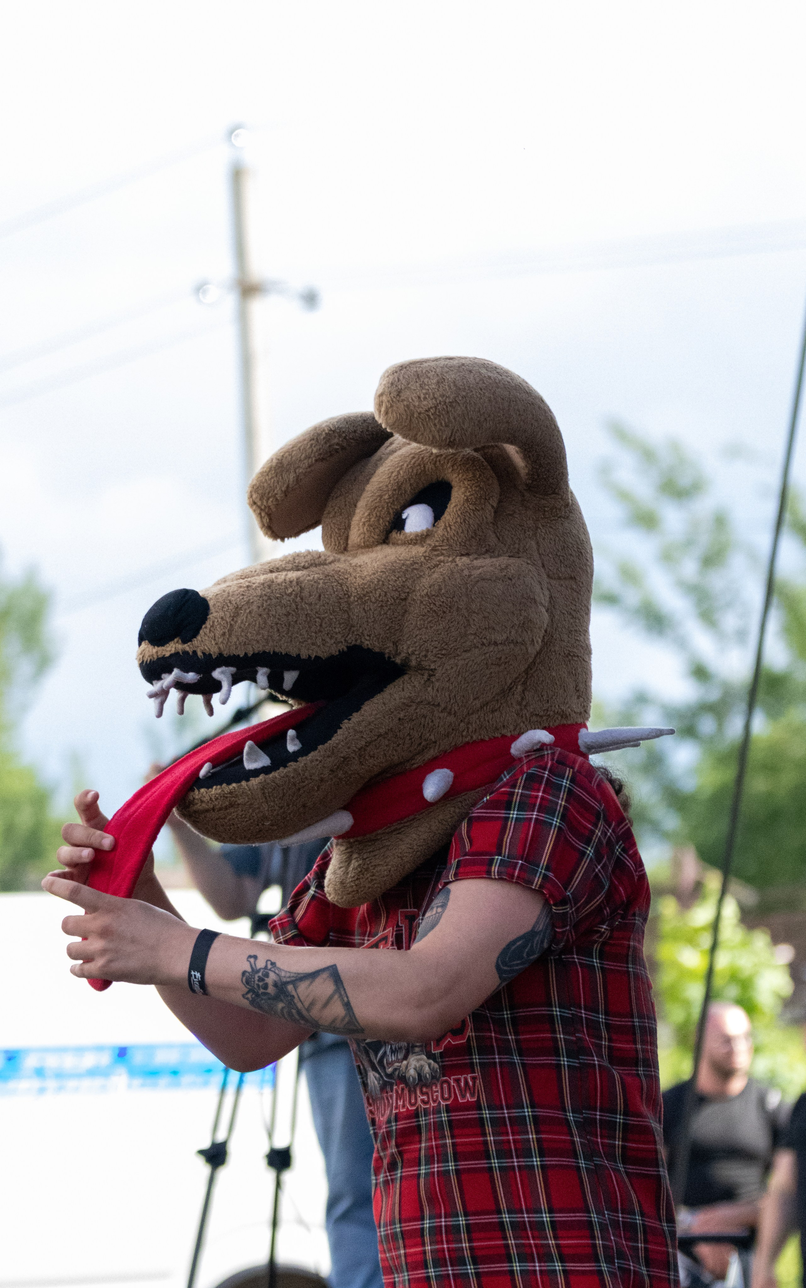 Репортажная, студийная, свадебная, автоспорт, коммерческая, фотосессия: Фотографы Николай и Елена DvoTar