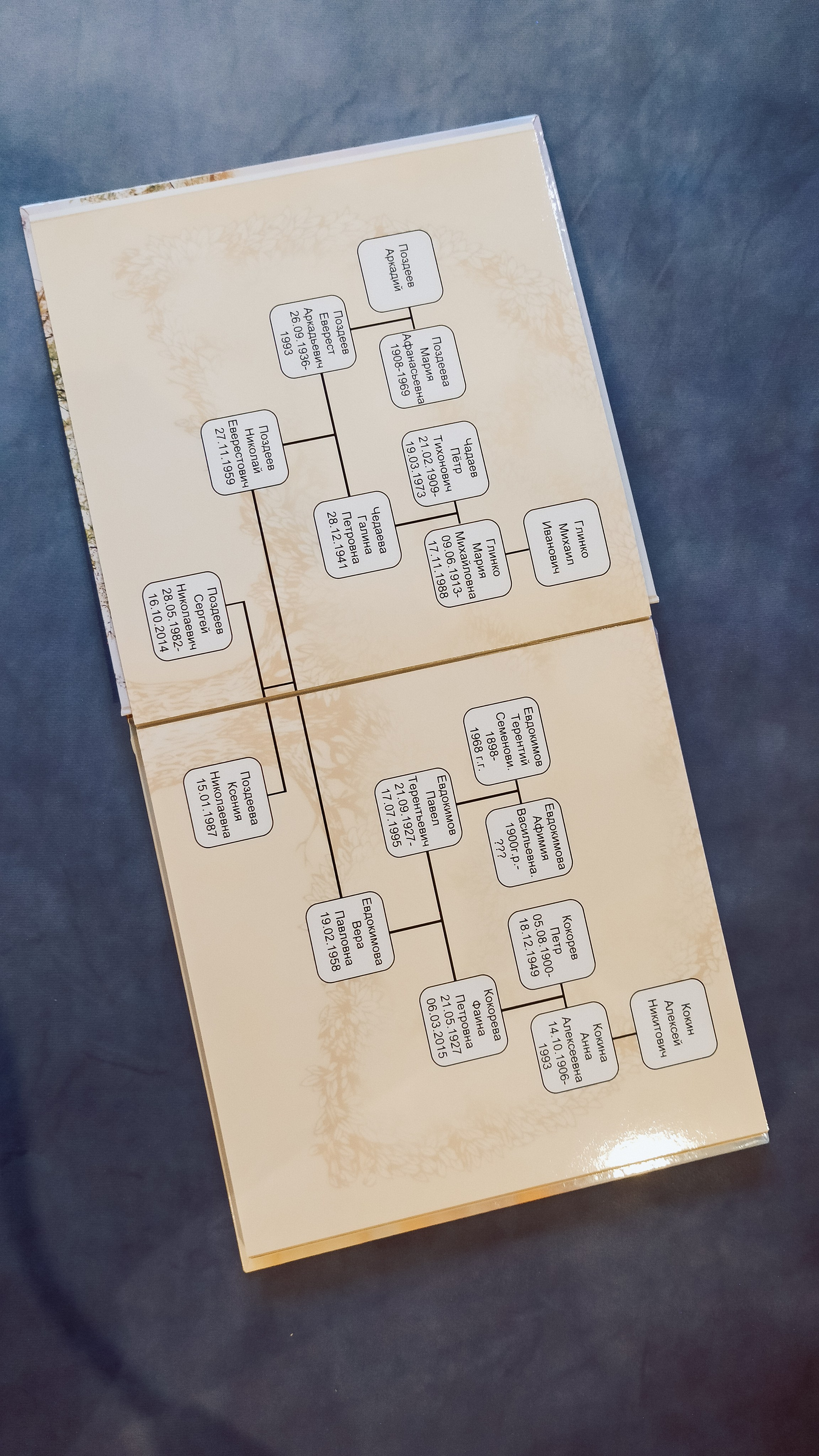 Моя родословная книга. Семейный и детский фотограф в Москве Тихонова Ксения