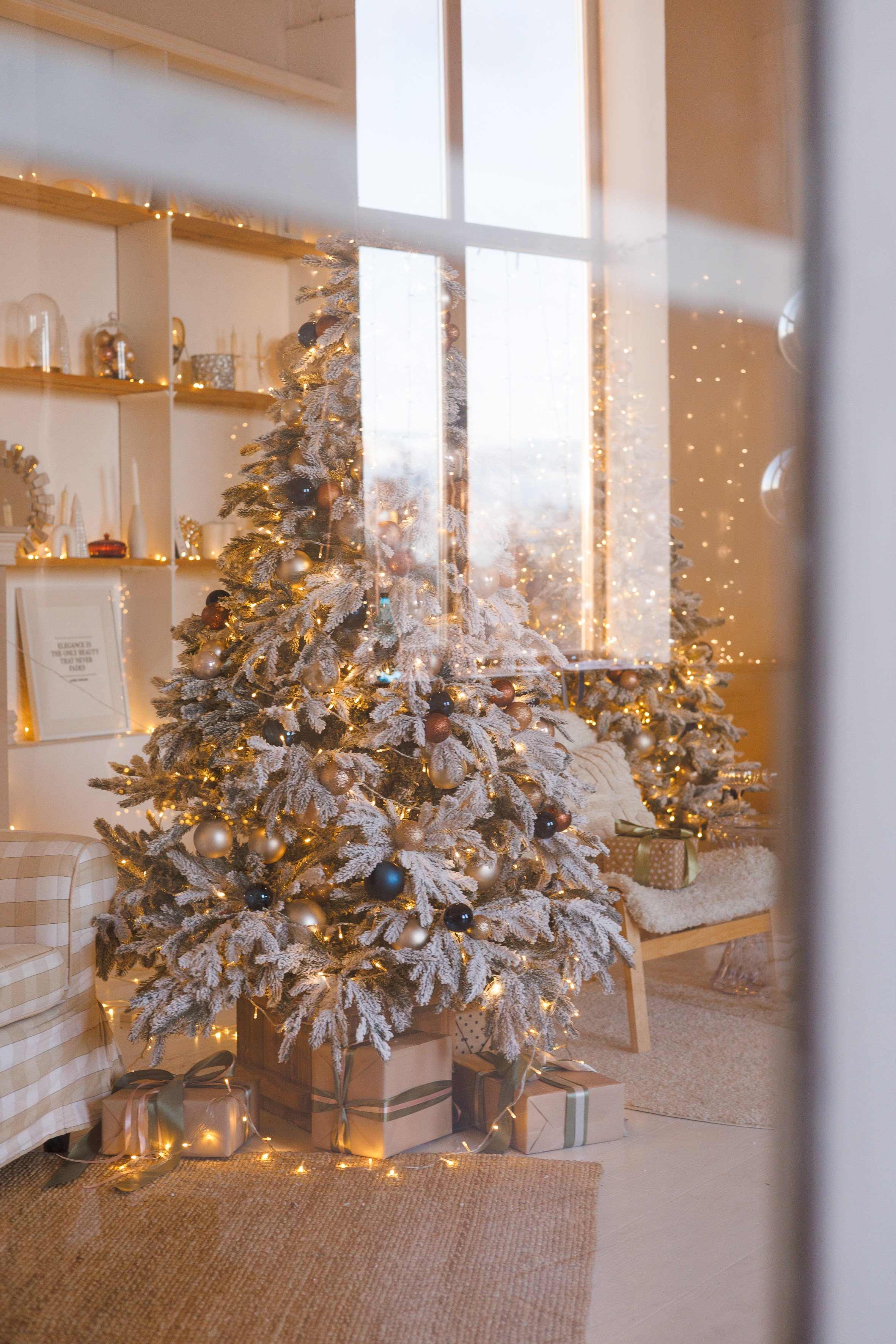 Сканди. Фотостудия ART BAZA Тверь