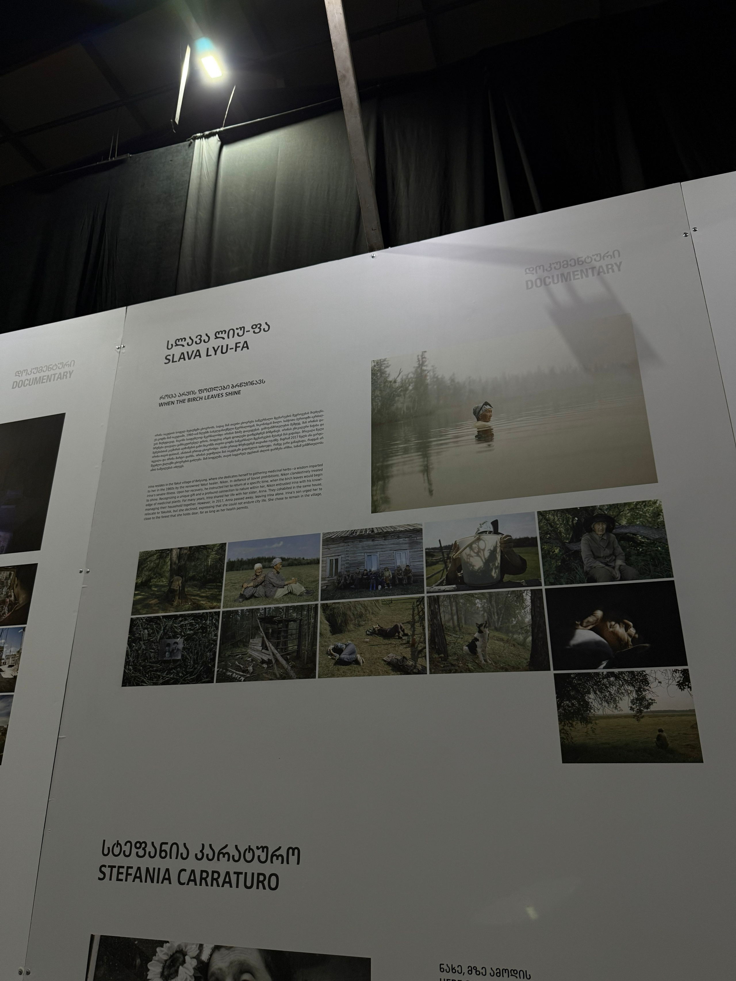 When the Birch Leaves Shine. Slava Lyu-fa