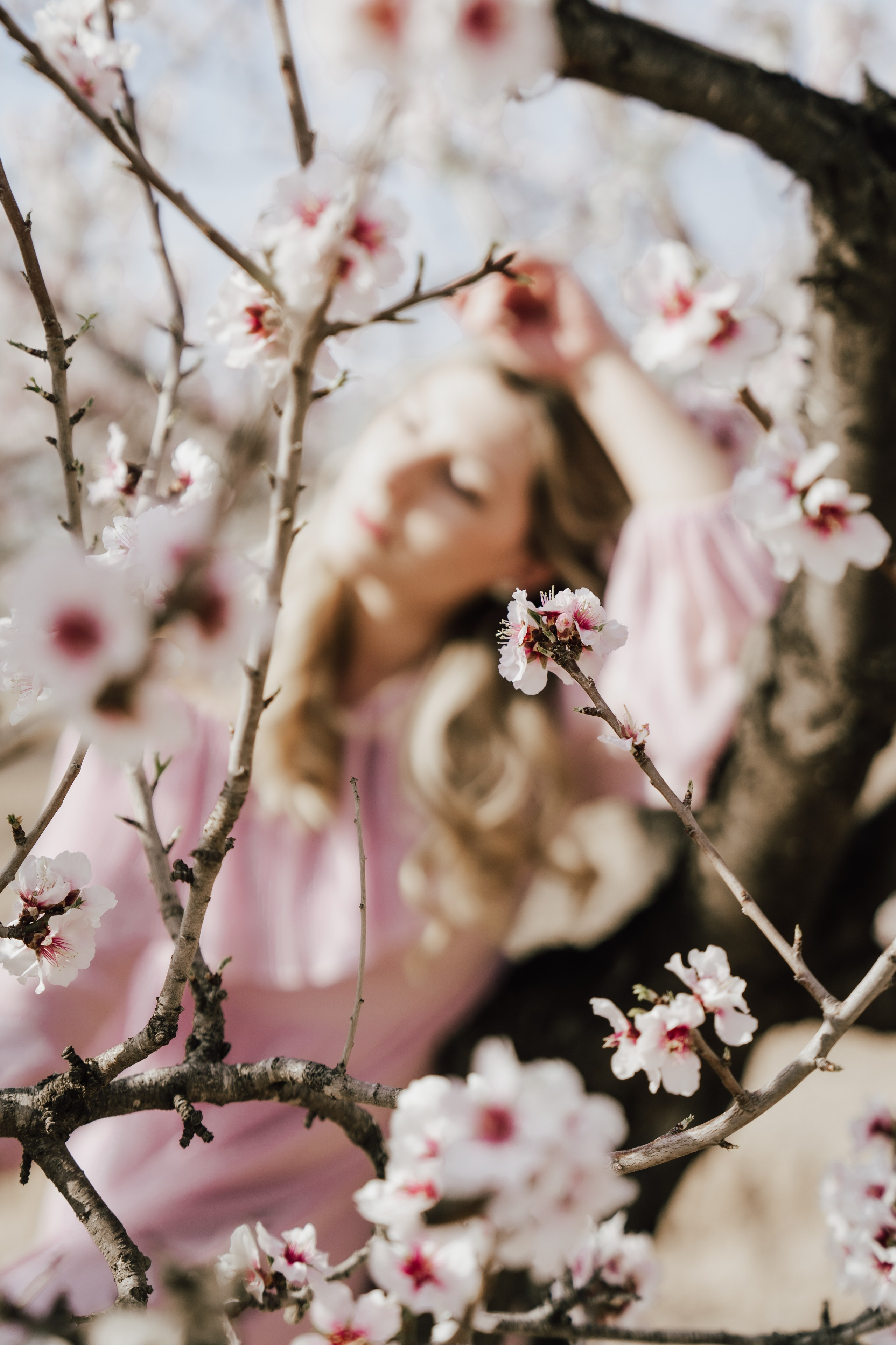 фото в миндальных садах Испании