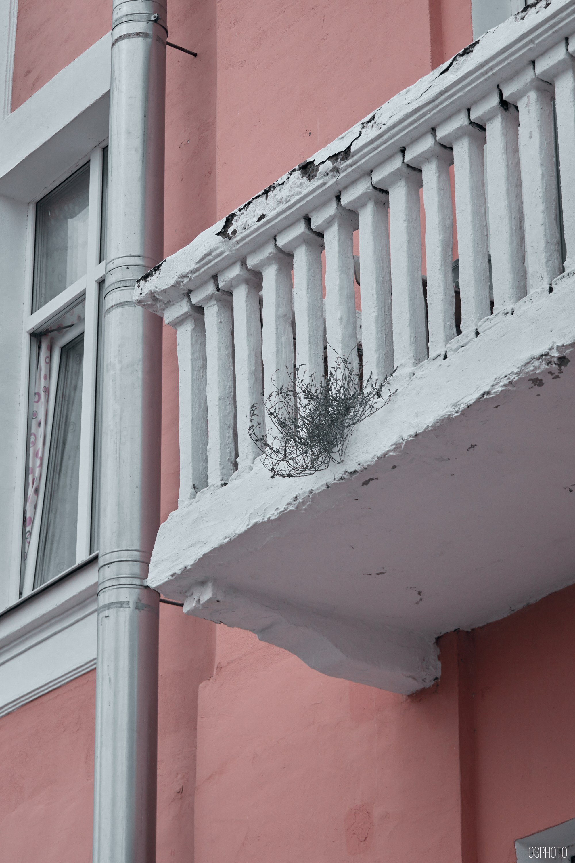 Псков. Ноябрь. Фотографъ Сергѣевъ. Поймать мгновеніе