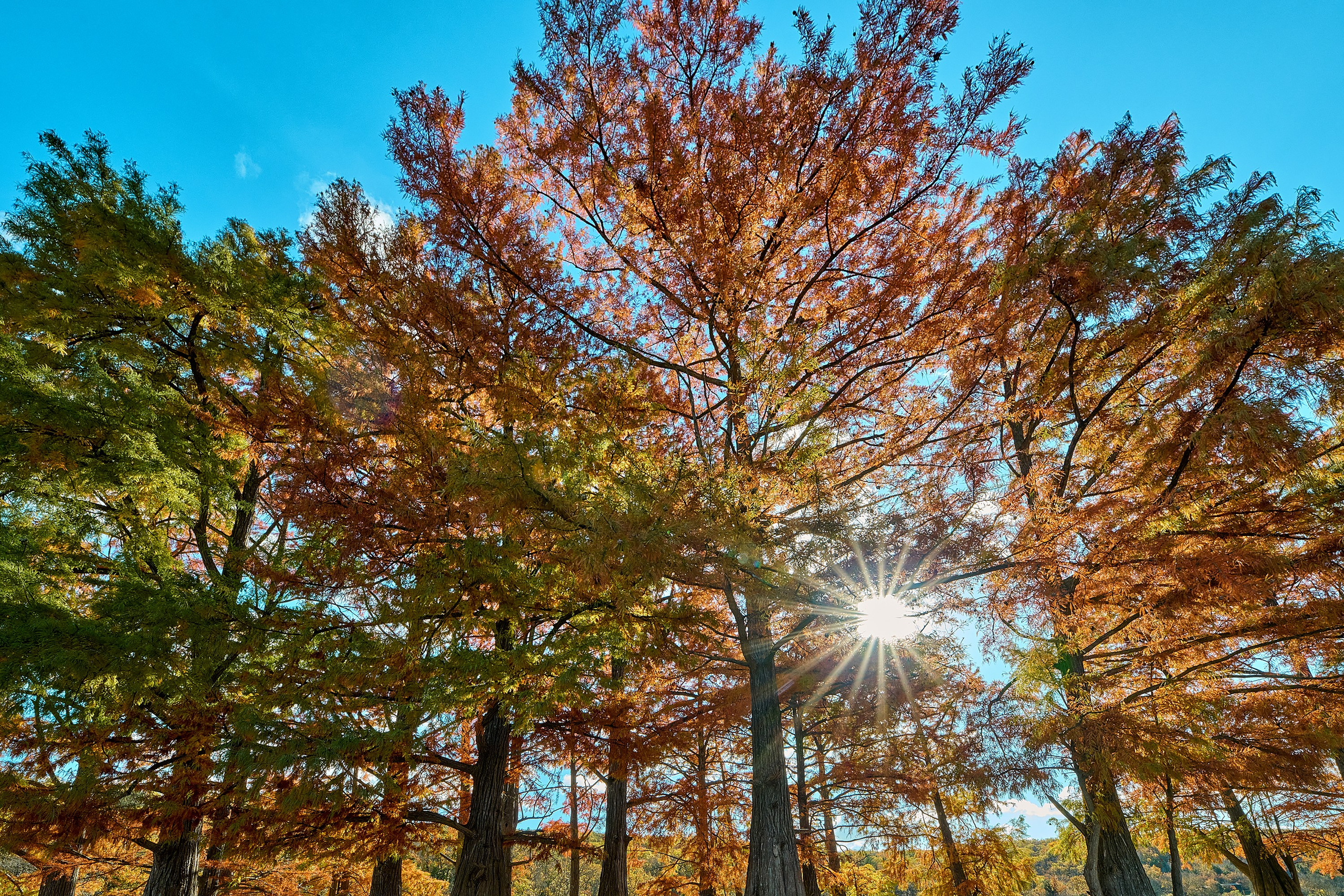 Пейзажи. Яркие фото на Чёрном море