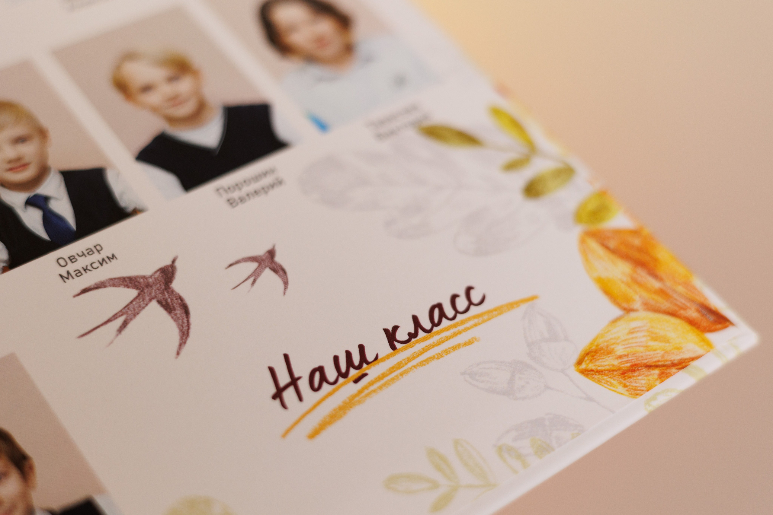 1 разв. для Цен-2. Выпускные альбомы в Луге/Школьные съёмки