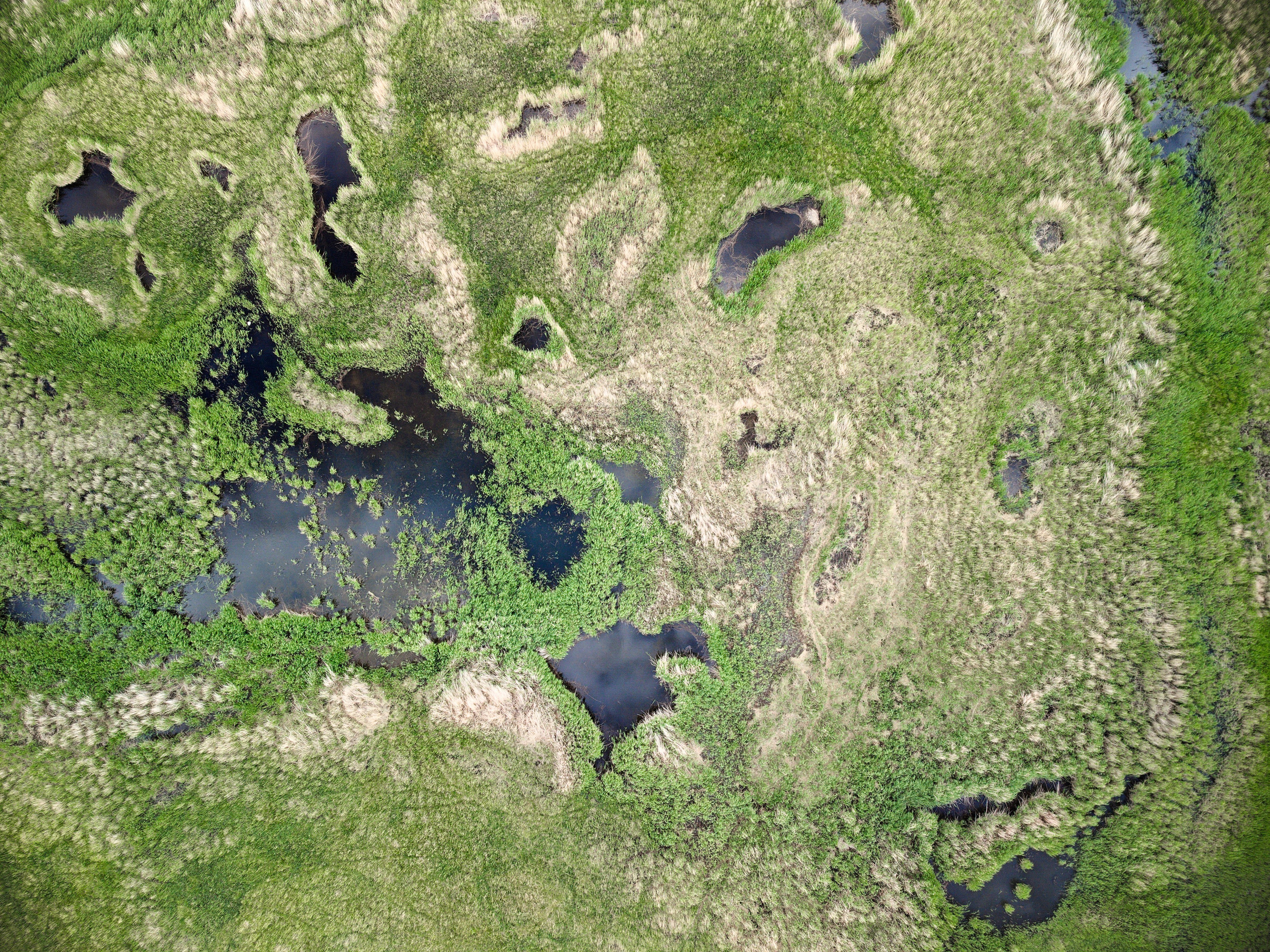 Экспедиция в Монголию (котловина больших озер). Семоха Валерий. Фотограф