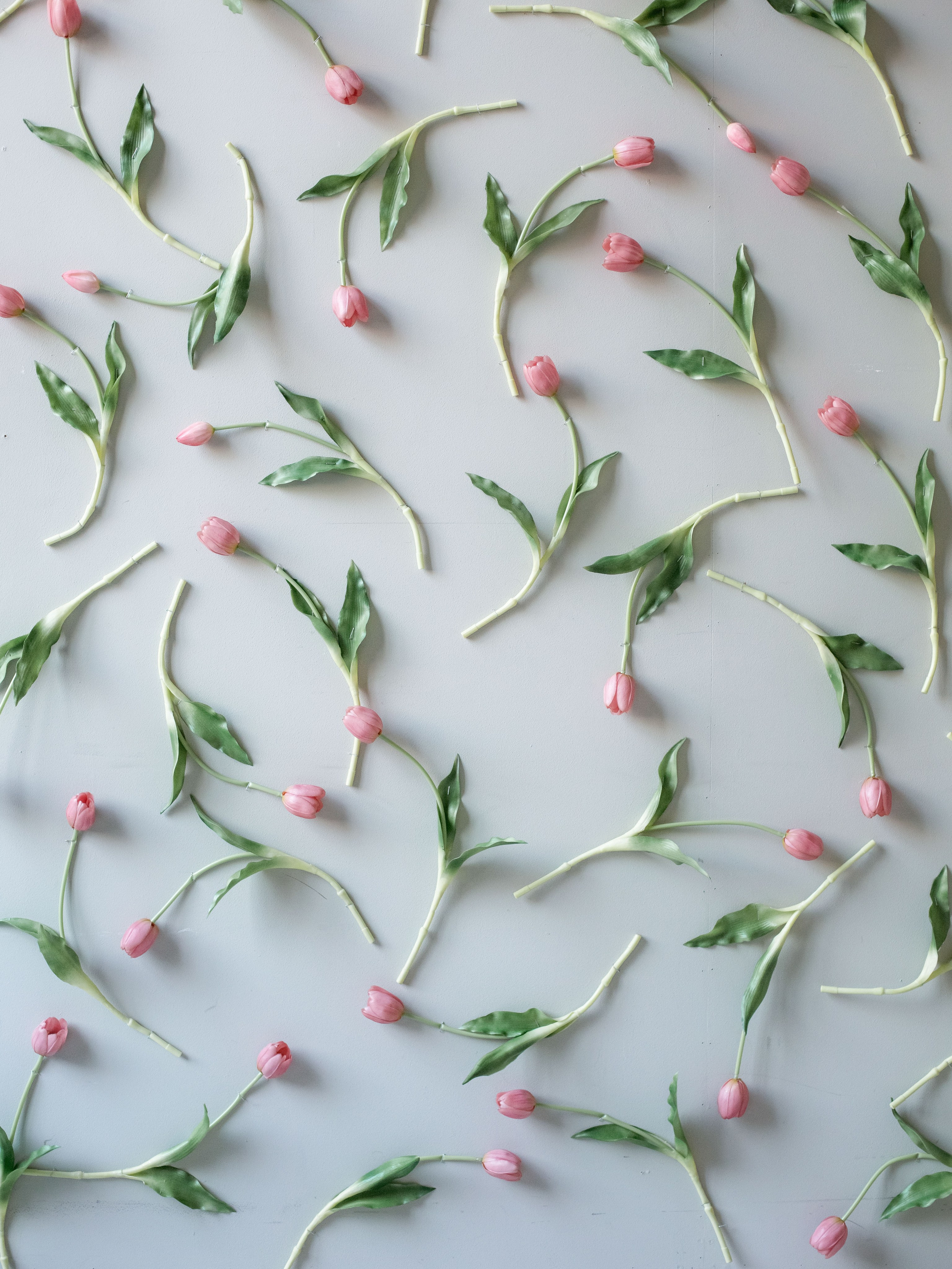 Фотостудия Алматы зал Валенсия. Фотостудия Алматы — 2 Stula.Studio | Аренда залов