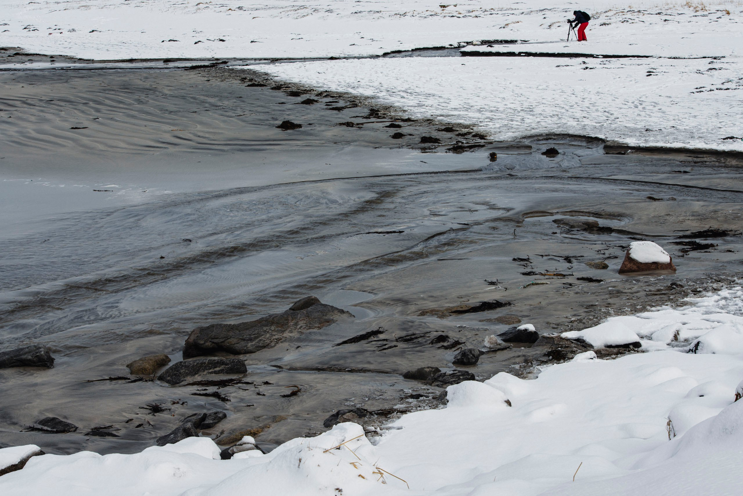 Человек в красных штанах фотографирует заснеженный берег с отливом на Лофотенских островах, Норвегия.