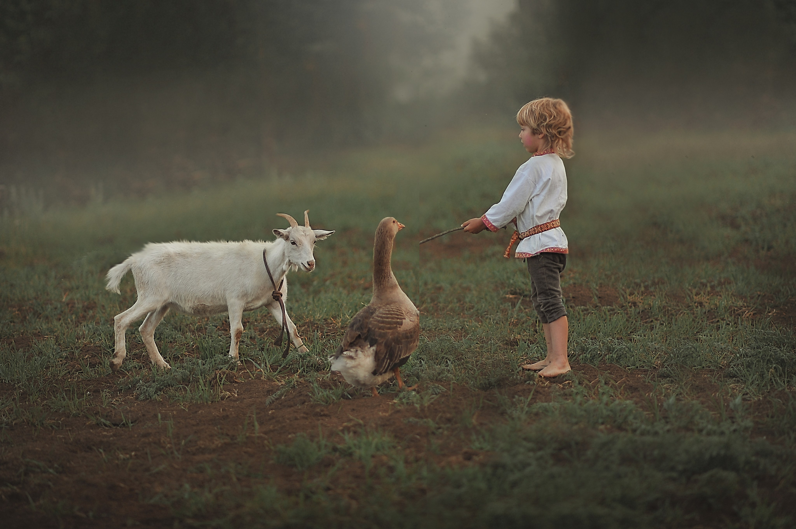 Детский, семейный фотограф в Ижевске и Москве Аксинья Лысенкова ADEN