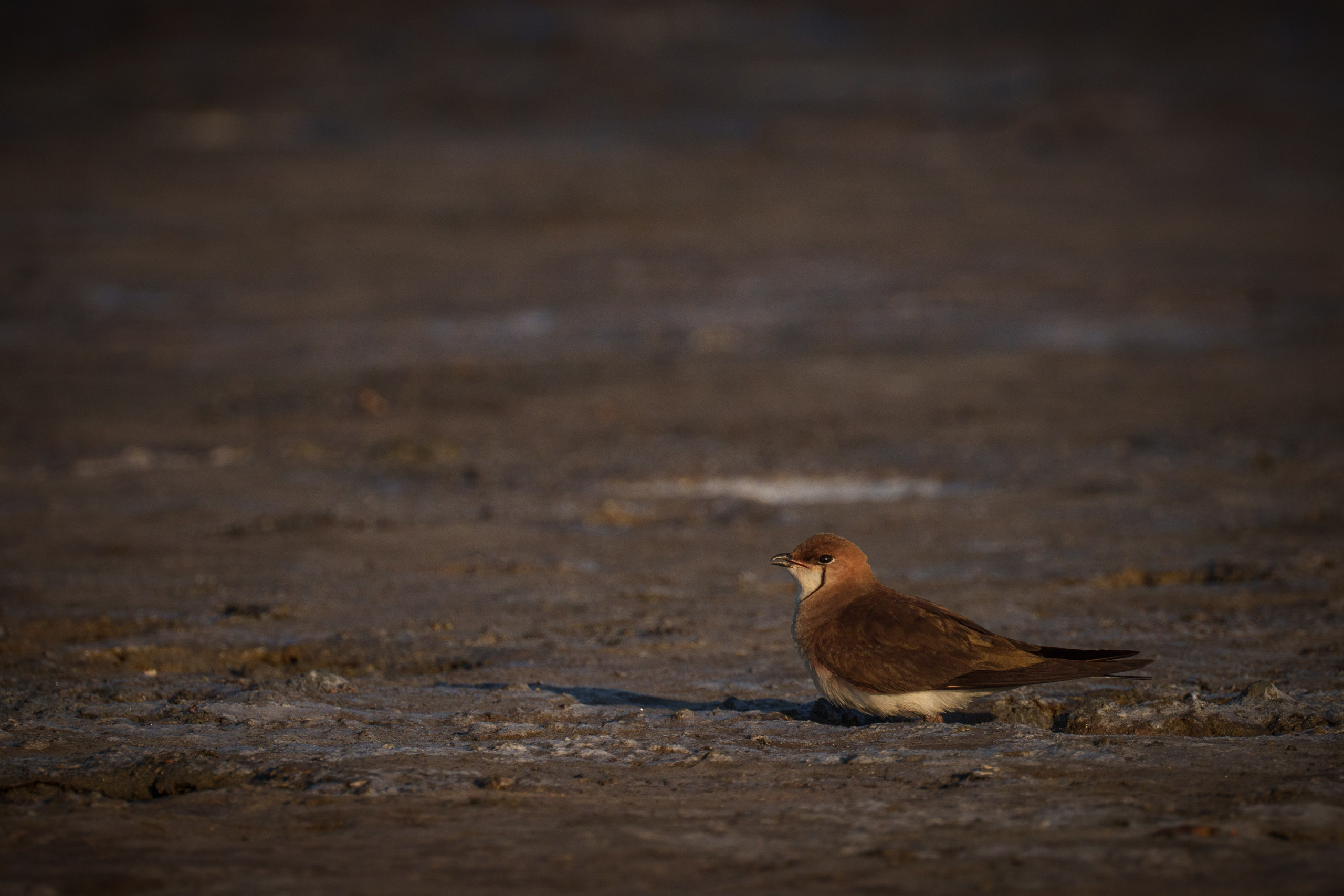 Учебный фототур на Эльтон. Июнь