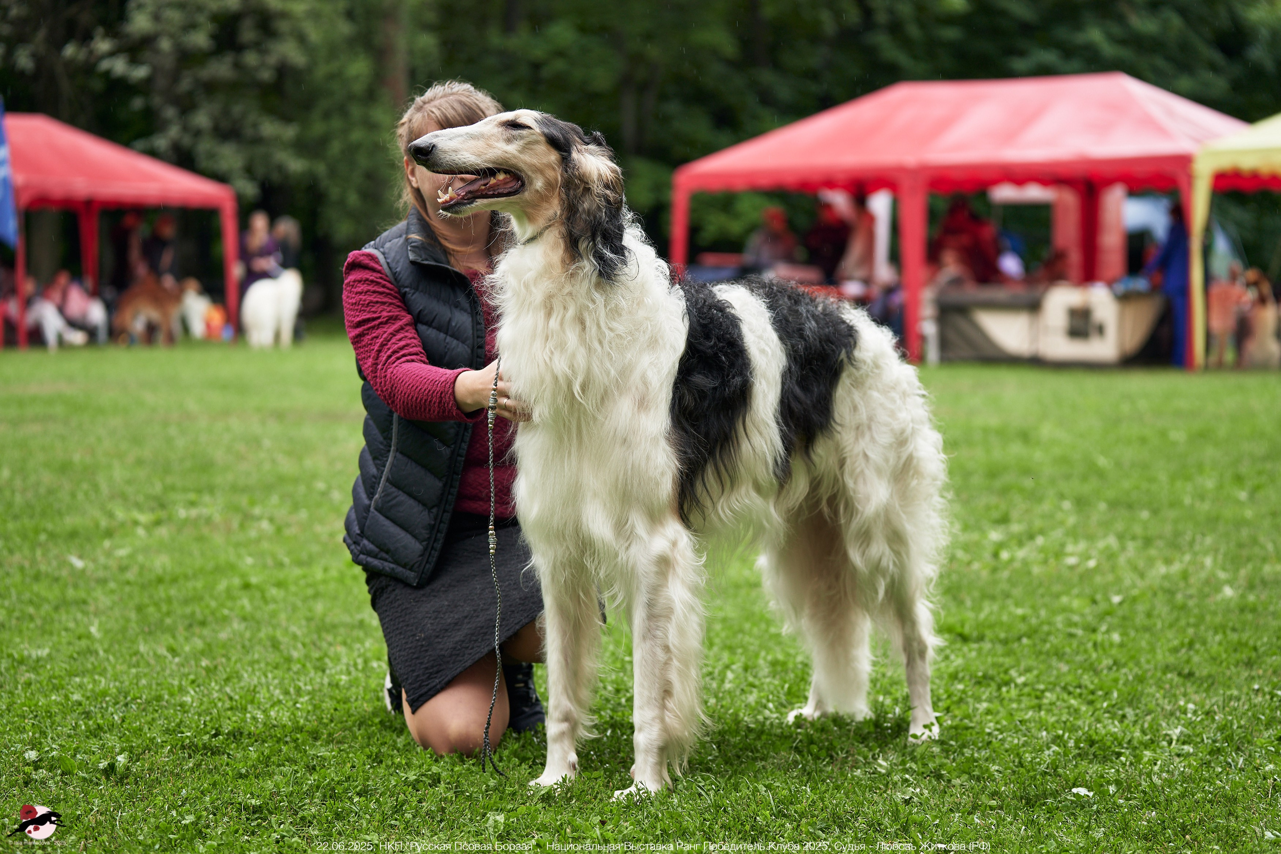 22.06.2025 | Национальная Выставка НКП "Русская Псовая Борзая"
