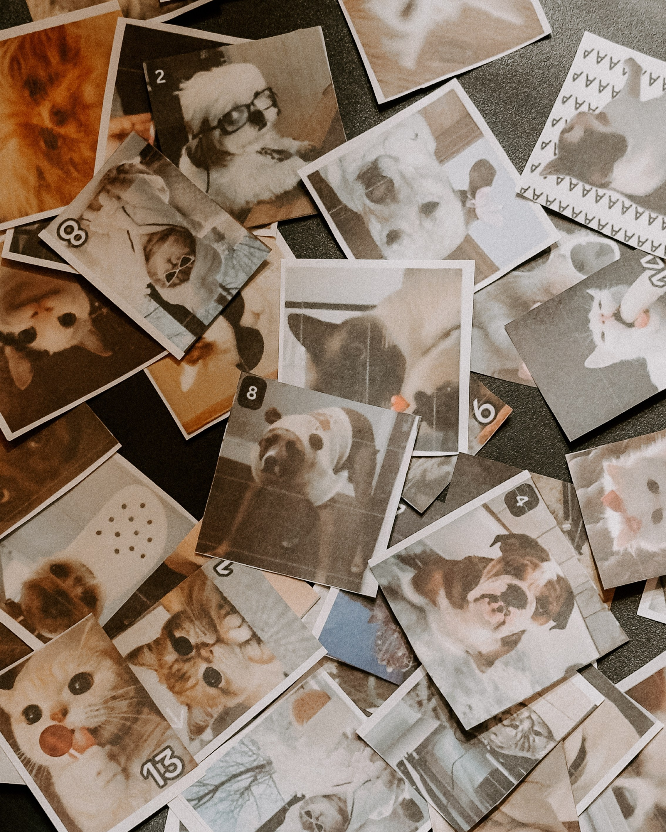 О том, как мы исследовали земли Залесские. Главная