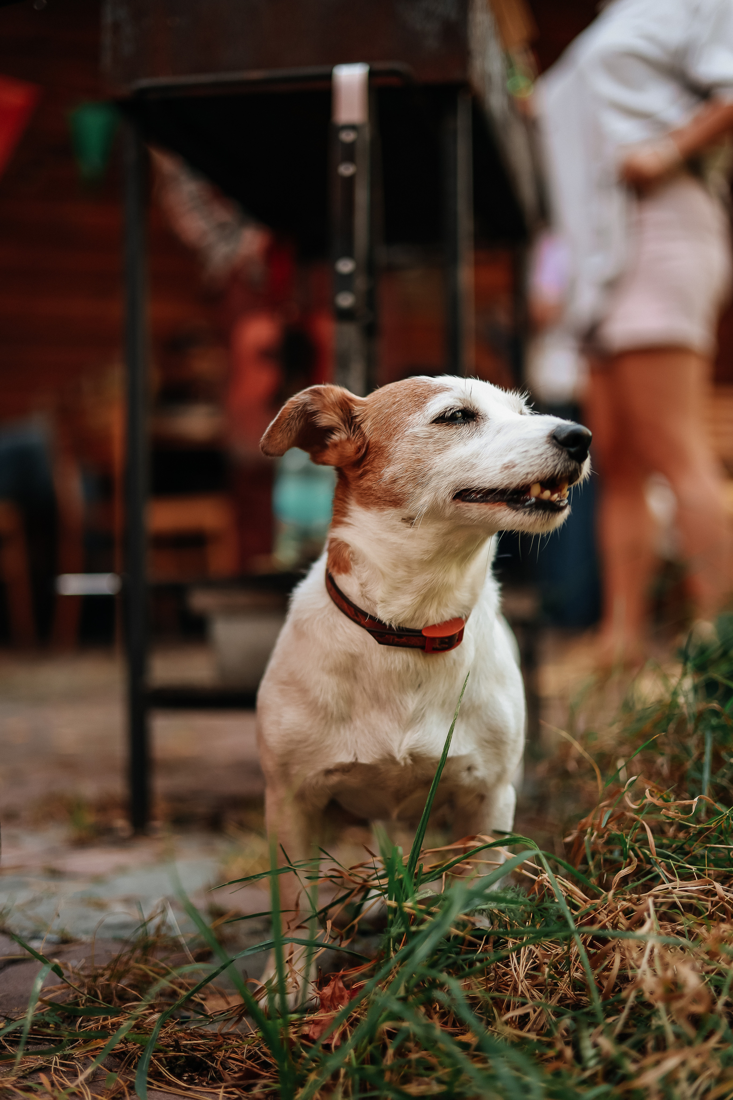 ДР Стё 🥳. Мария Бриль семейный и детский Lifestyle фотограф Москва
