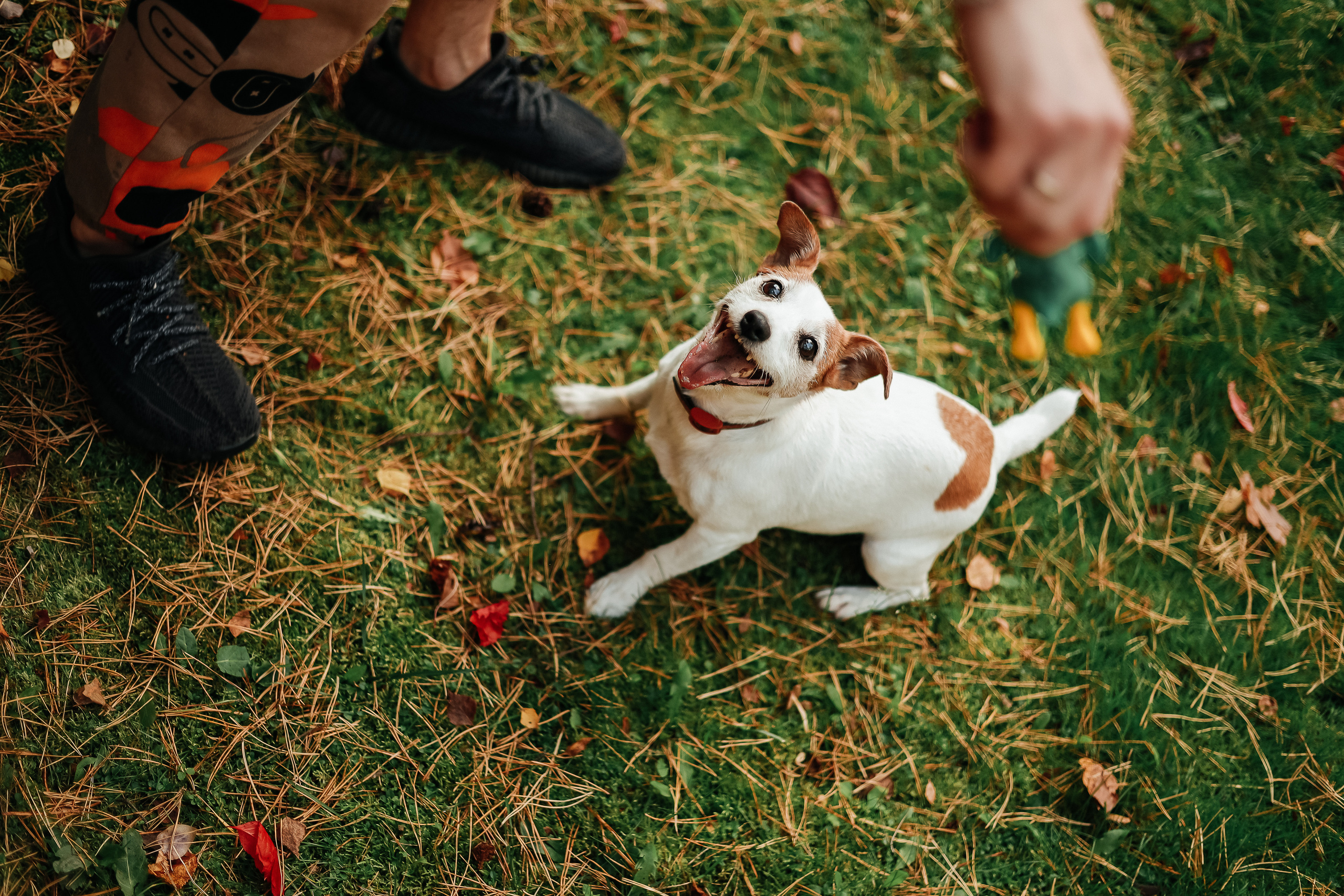 ДР Стё 🥳. Мария Бриль семейный и детский Lifestyle фотограф Москва