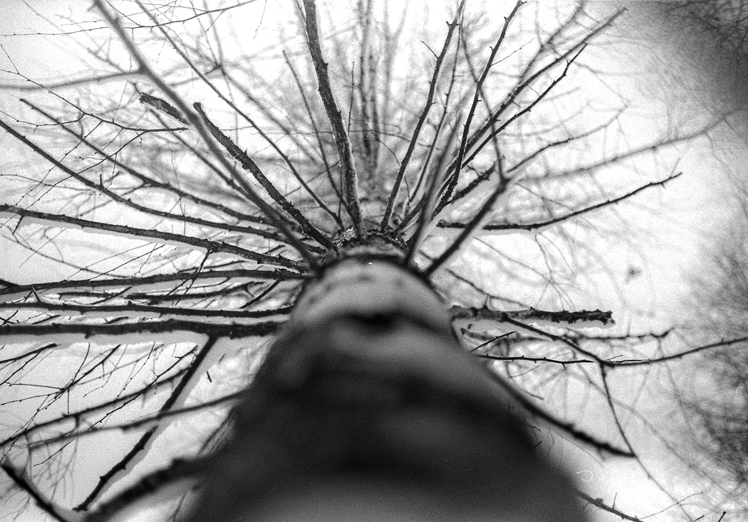 First roll of film. StepanGerasimov