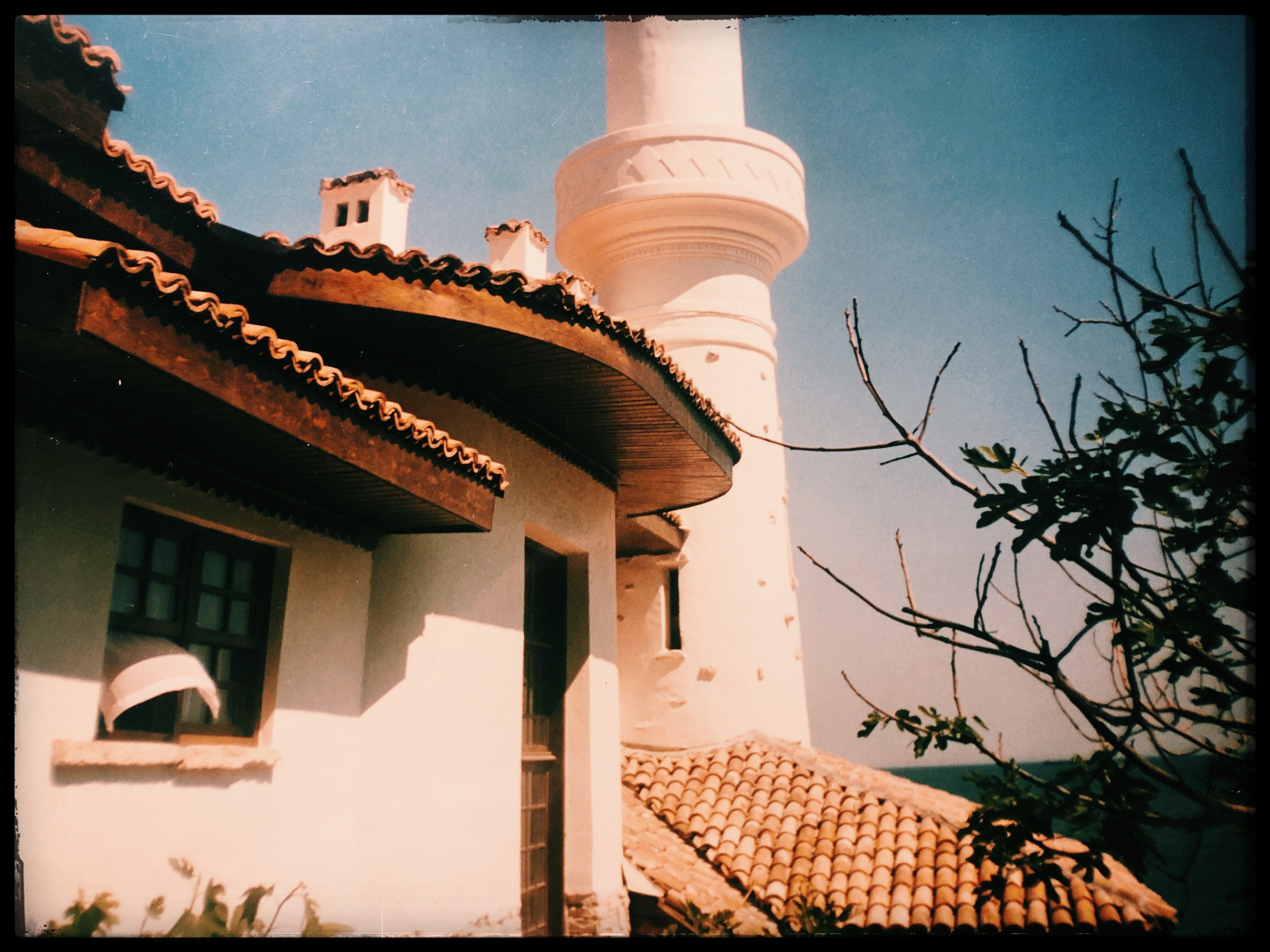 Daria Chigintseva Photographer