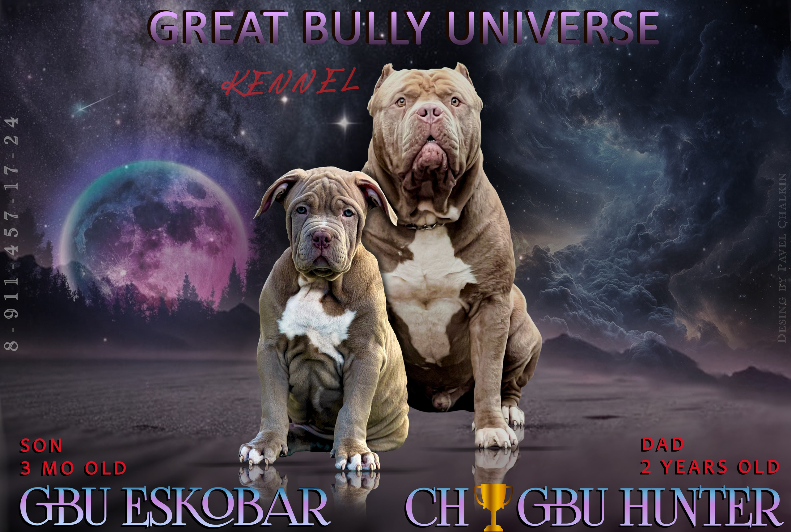 Американские булли XL в г. Калининград. Питомник Great Bully UNIVERSE
