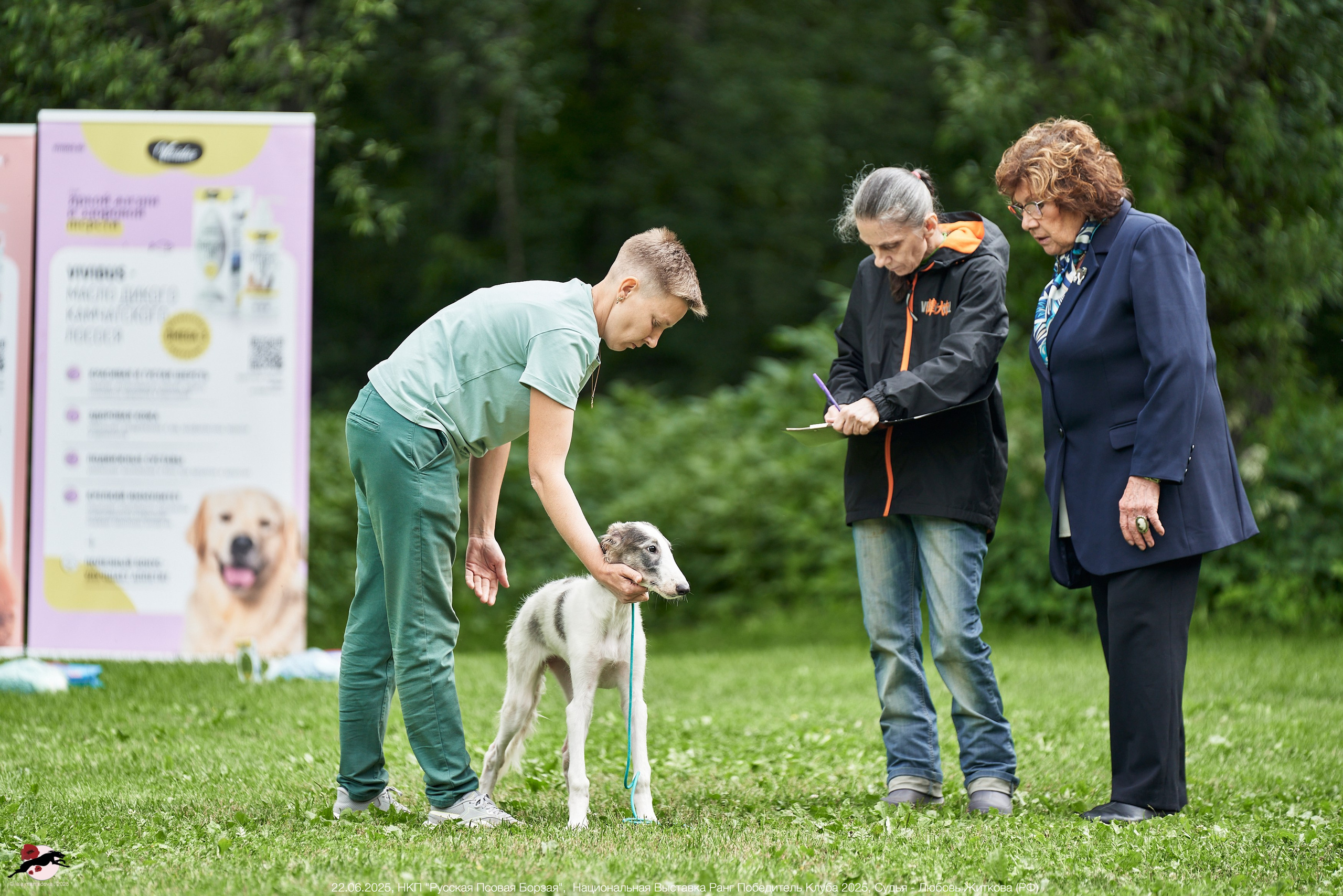 22.06.2025 | Национальная Выставка НКП "Русская Псовая Борзая"
