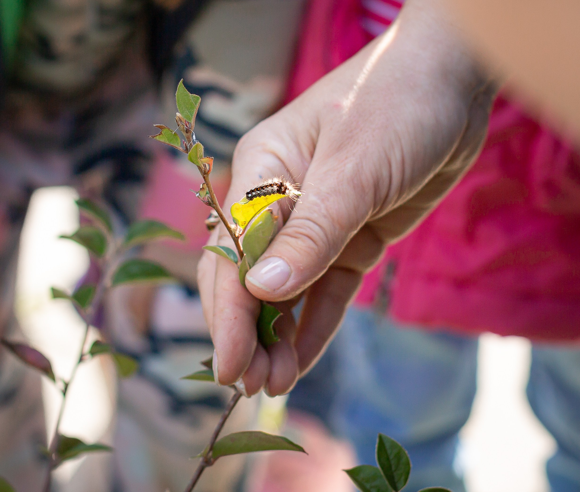 Истории детства. Семейный и детский фотограф Комина Елена, Власиха, Одинцово