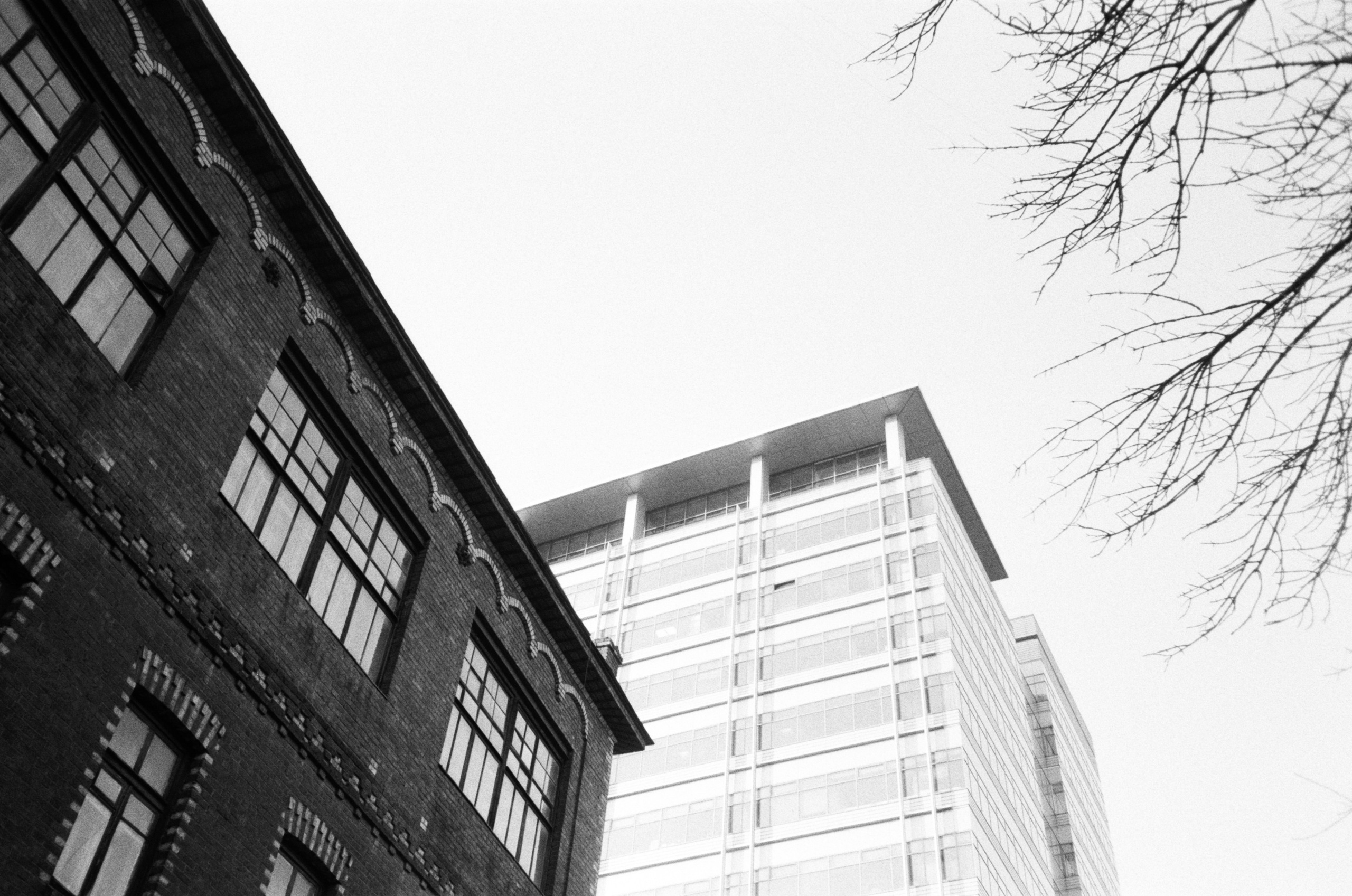 Автор: Артём Чекалин