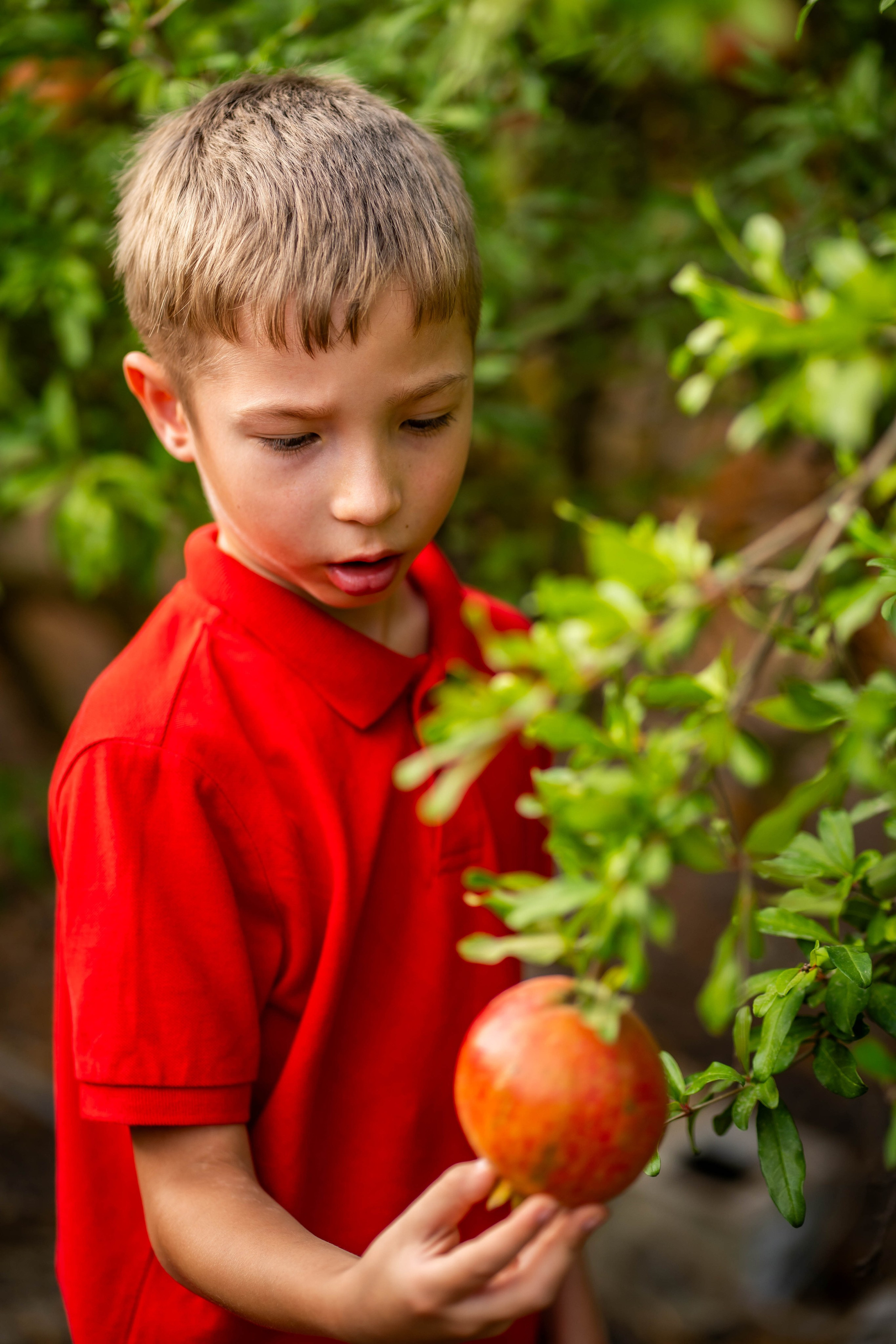 Гранатовый сад. Семейный и детский фотограф в Израиле и Москве Дорошок Надя