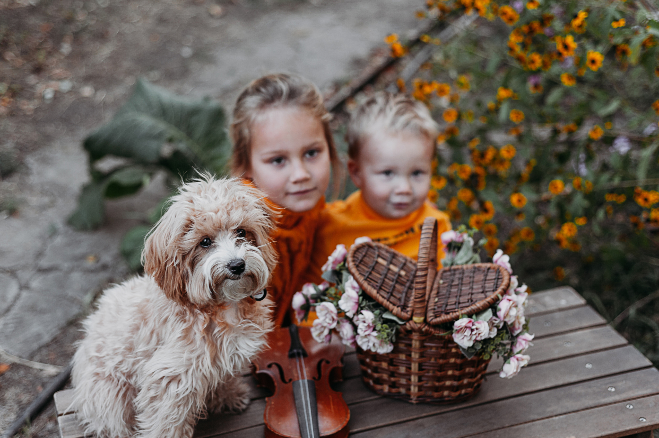 Семейная история. Даша, Саша, Кира, Герман и Мика. Свадебный и семейный фотограф в Ростове-на-Дону Алина Астахова