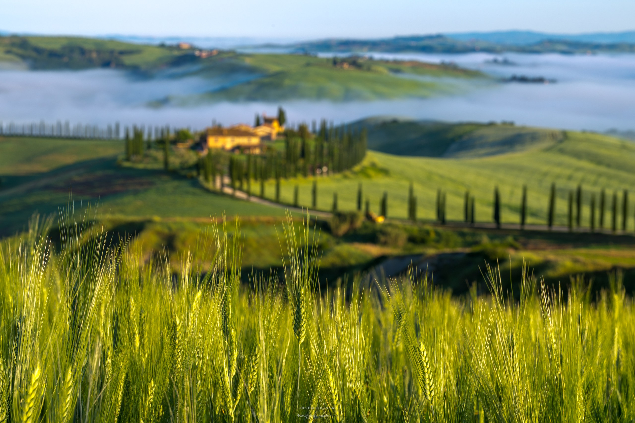 Долина Крете Сенези (Crete Senesi). Авторские стильные фотокартины