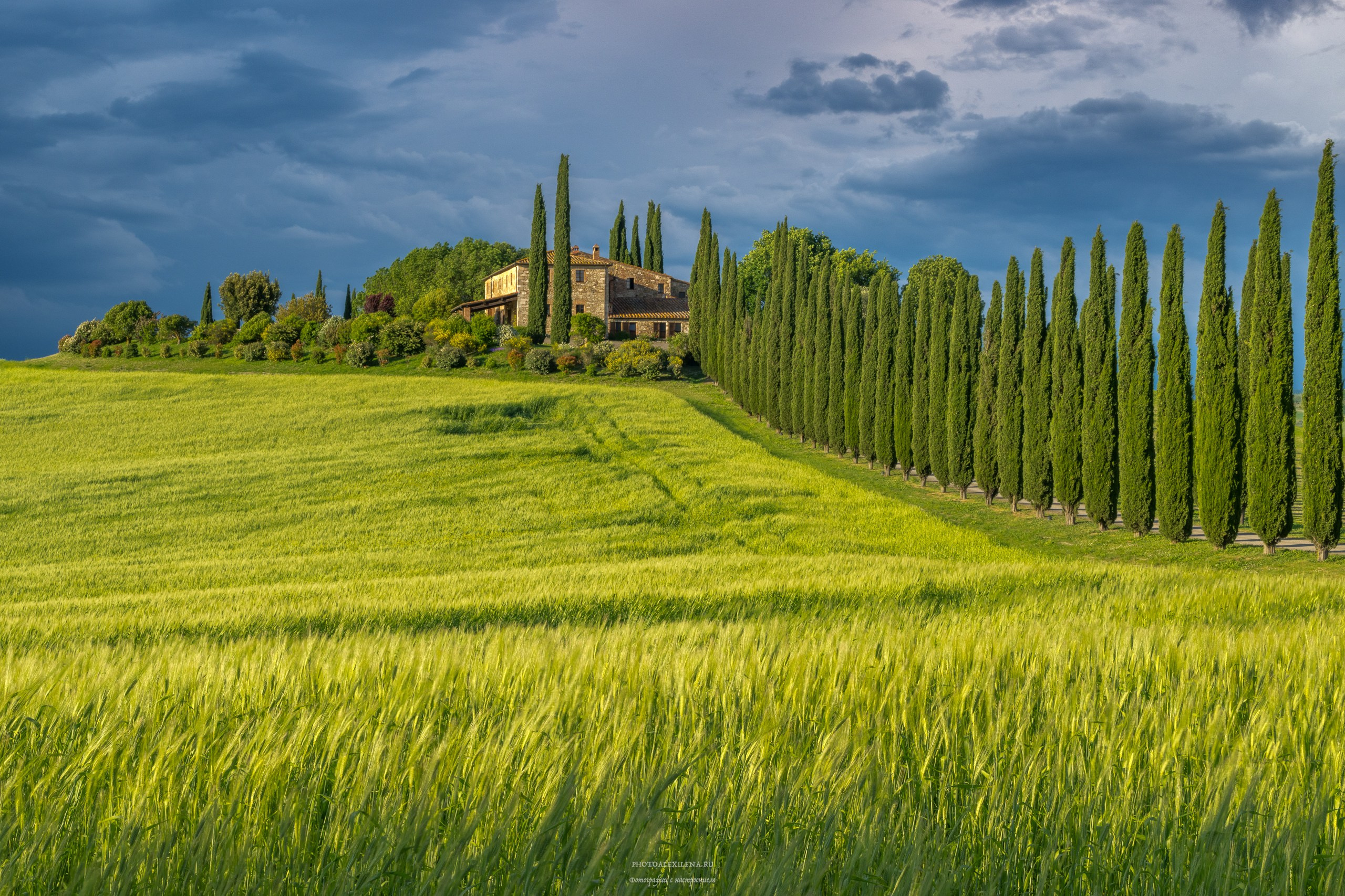 Путешествие сквозь красоту и вдохновение. Авторские стильные фотокартины